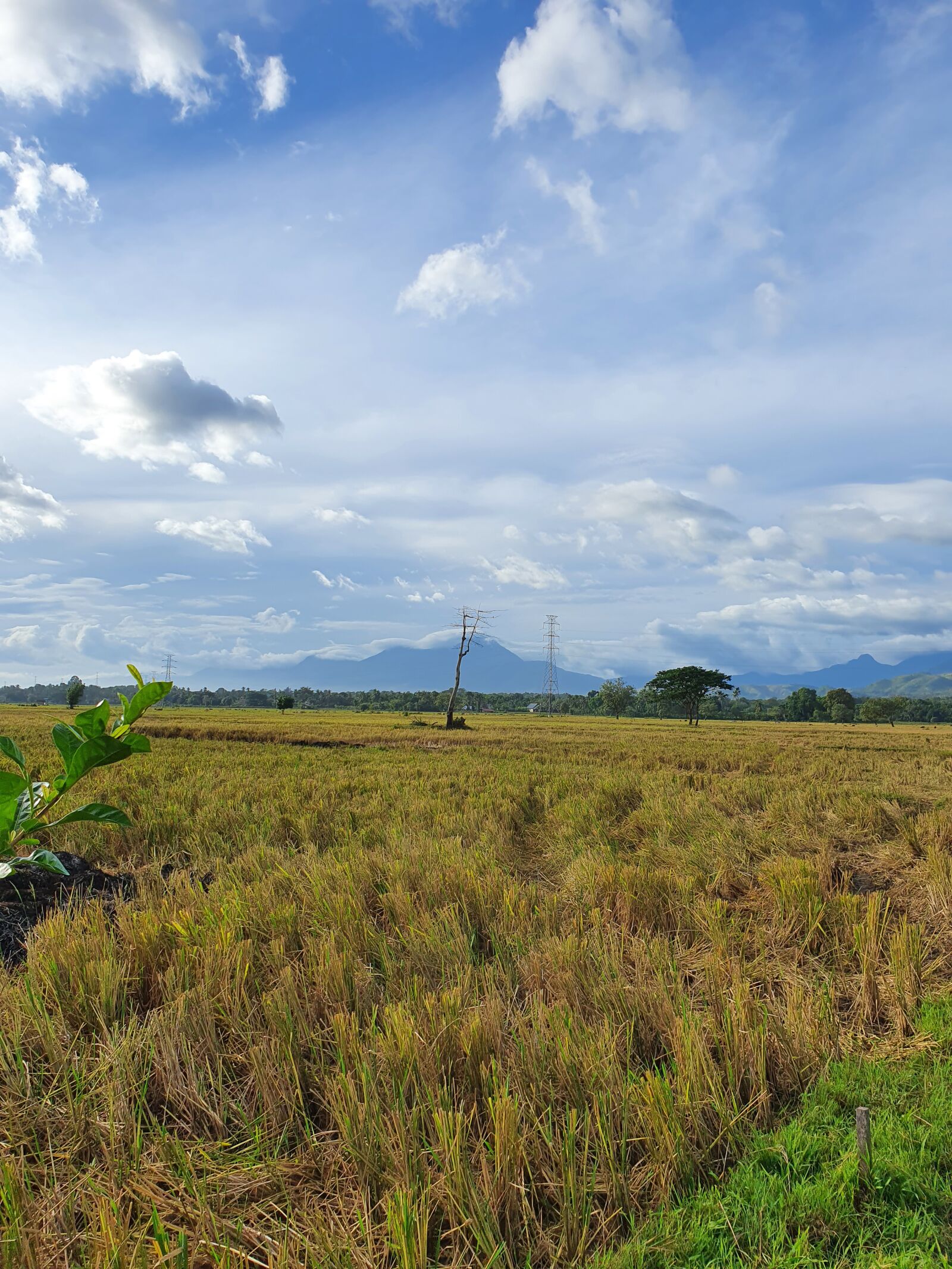 Samsung SM-G975F sample photo. Nature, cloud, mountain grass photography