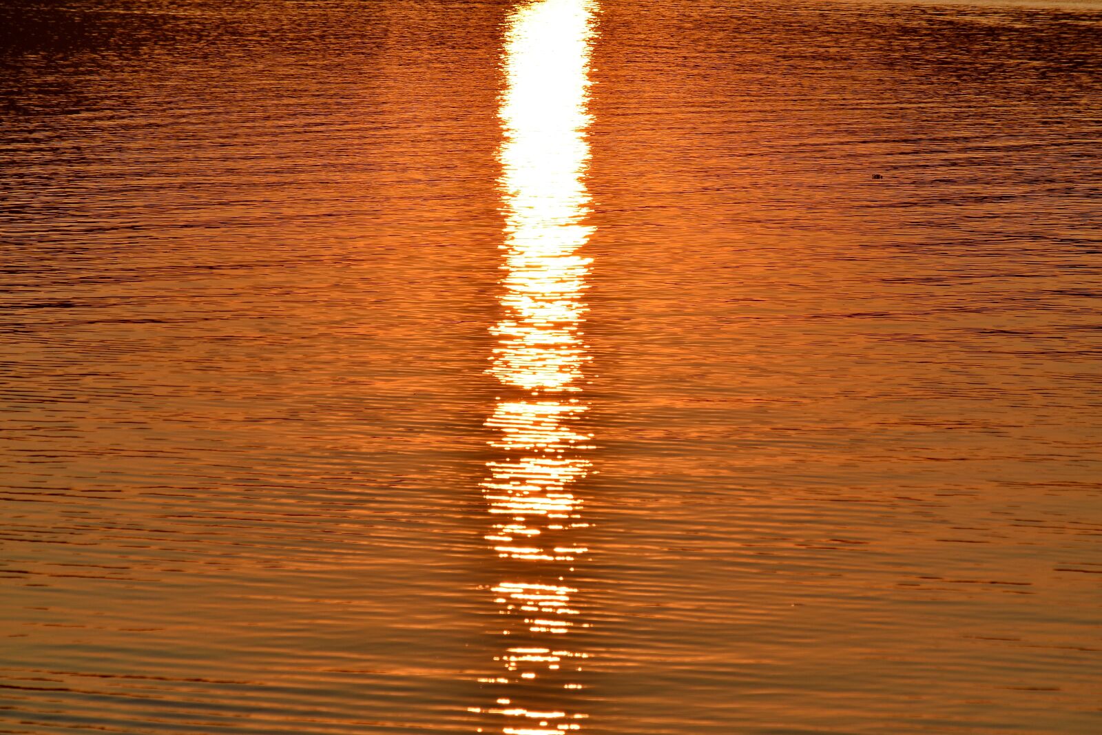 Nikon D5500 sample photo. Calm, horizon, sunrays, sunrise photography