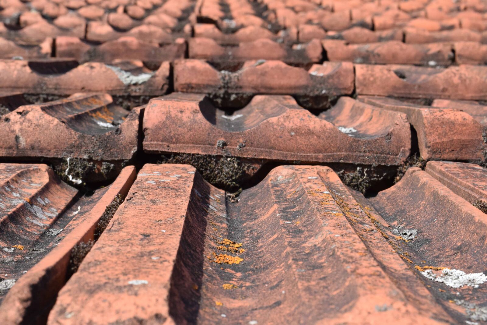 Nikon D3300 sample photo. Old, roof, clay, red photography