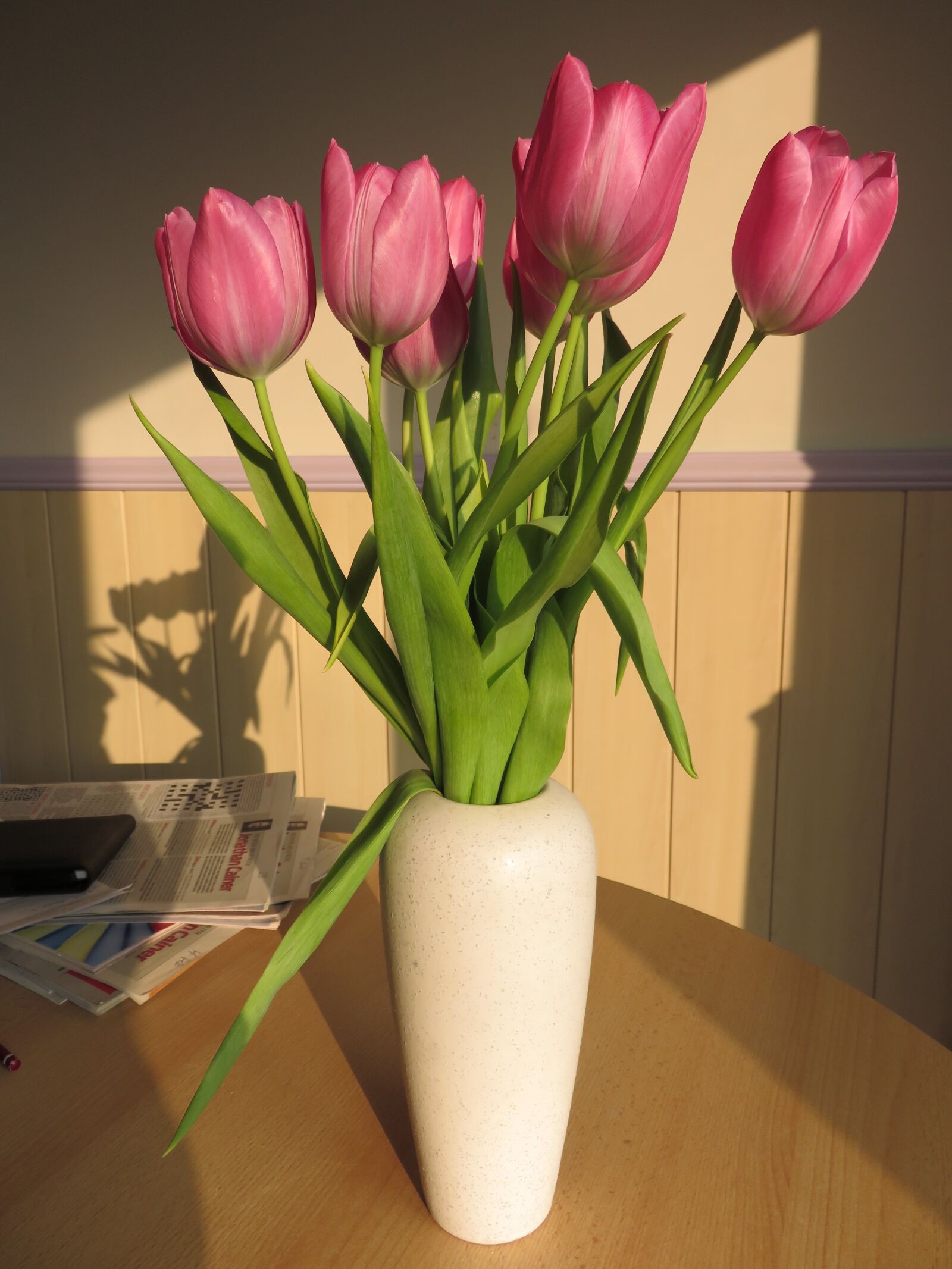 Canon PowerShot SX700 HS sample photo. Tulips, vase, flower photography