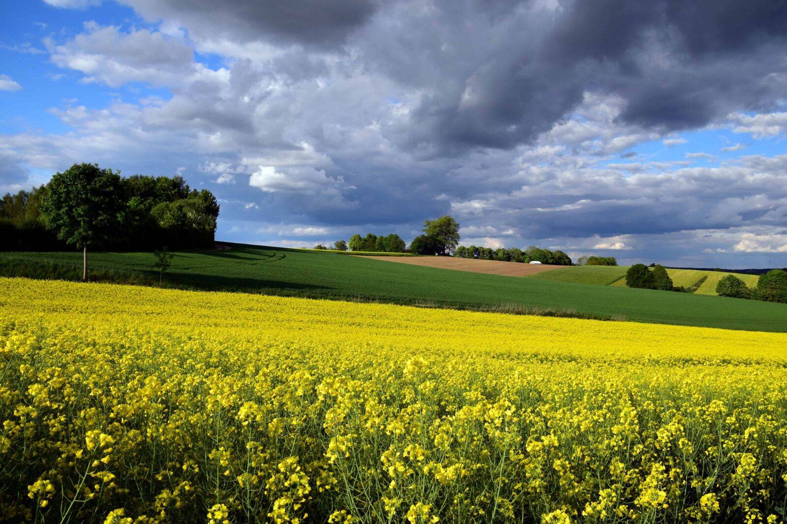 Nikon D3300 sample photo. Agriculture, field, nature, landscape photography