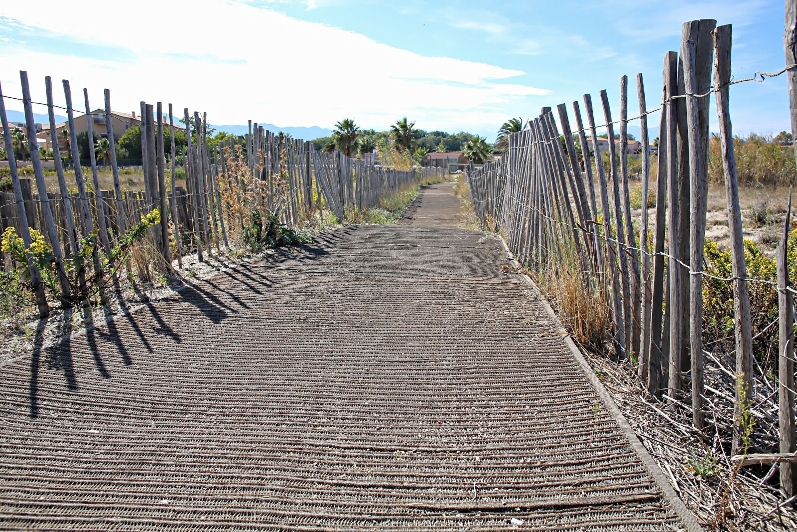 Canon EOS 5D Mark III sample photo. Sea, sand, palisade photography