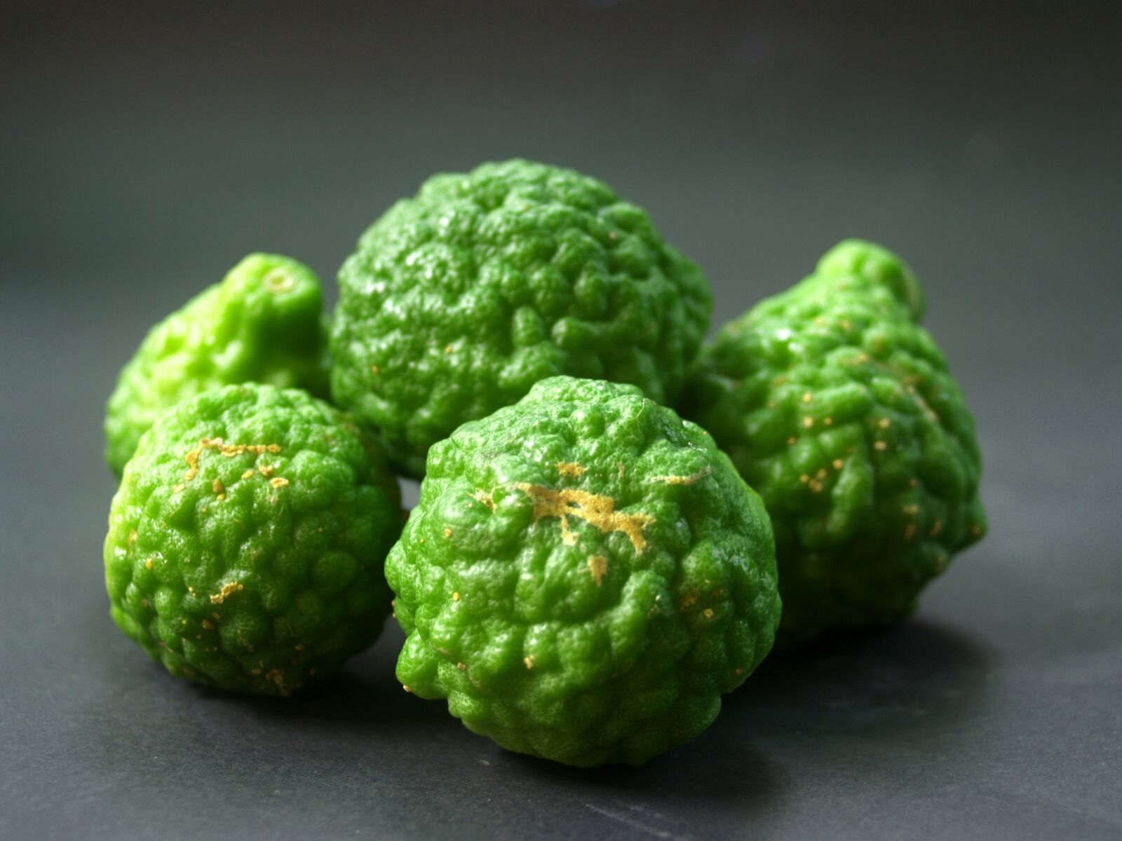Olympus E-300 (EVOLT E-300) sample photo. Bergamot, fruit, leaf photography
