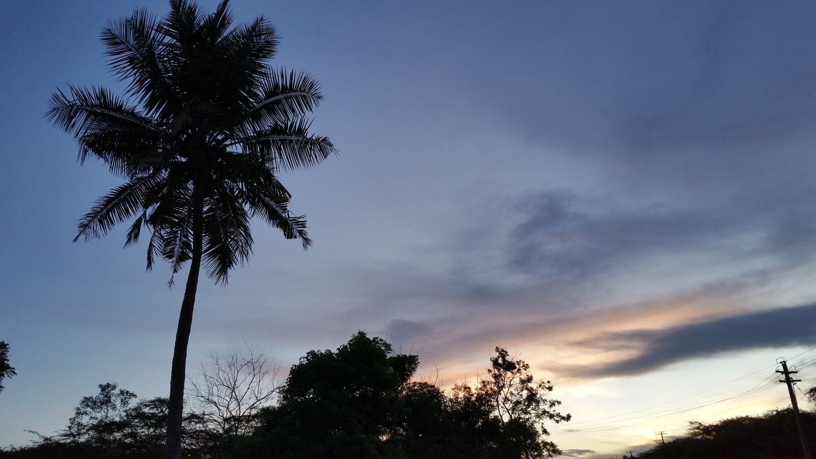Samsung Galaxy Note Edge sample photo. Coconut tree, evening sky photography