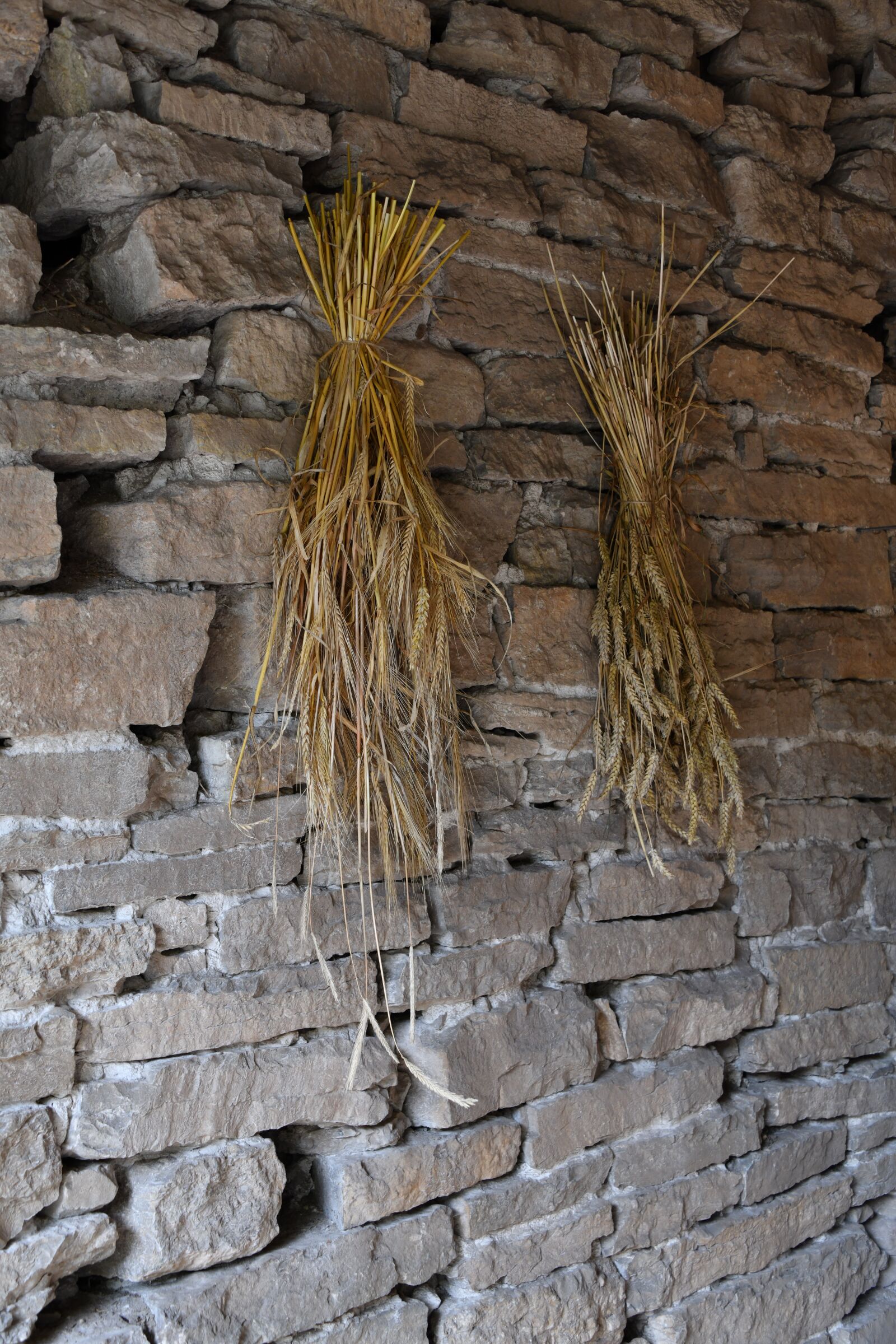 Nikon D850 sample photo. Wall, decoration, reed photography