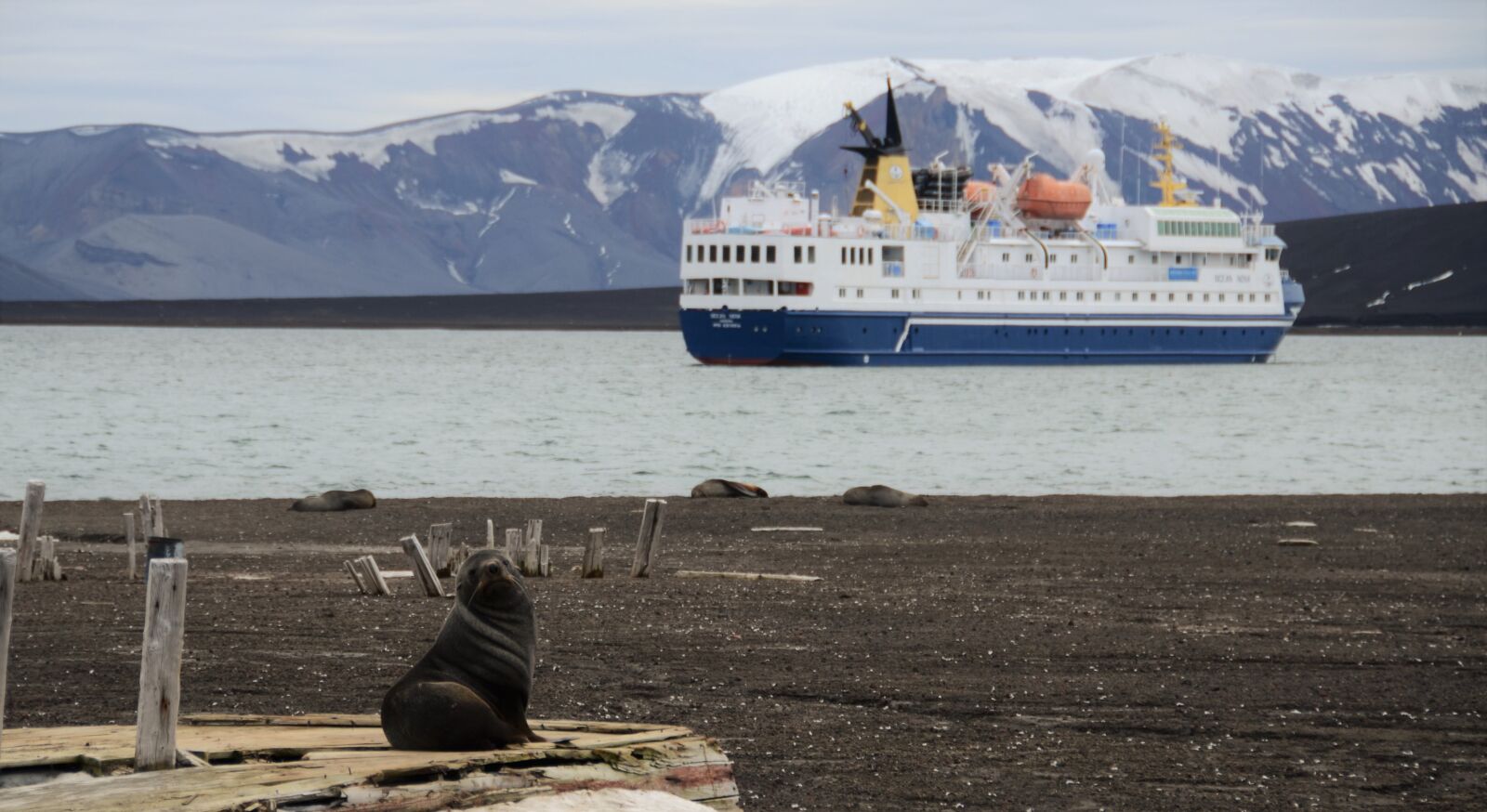 Nikon D7000 sample photo. South pole, cruise, adventure photography