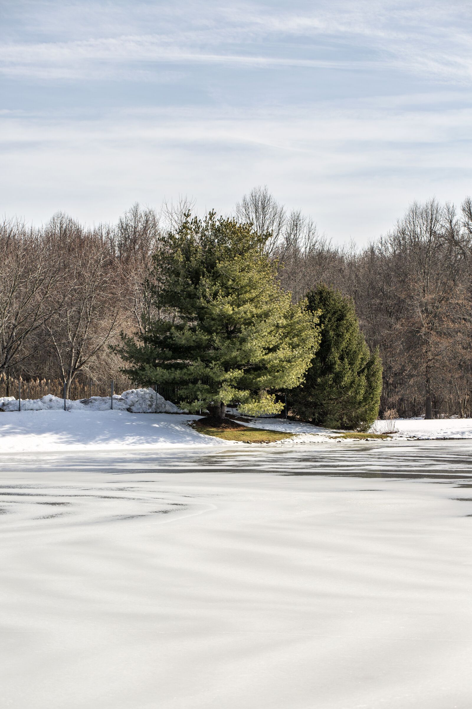 Canon EF 100mm F2.8L Macro IS USM sample photo. Winter, pond, lake photography