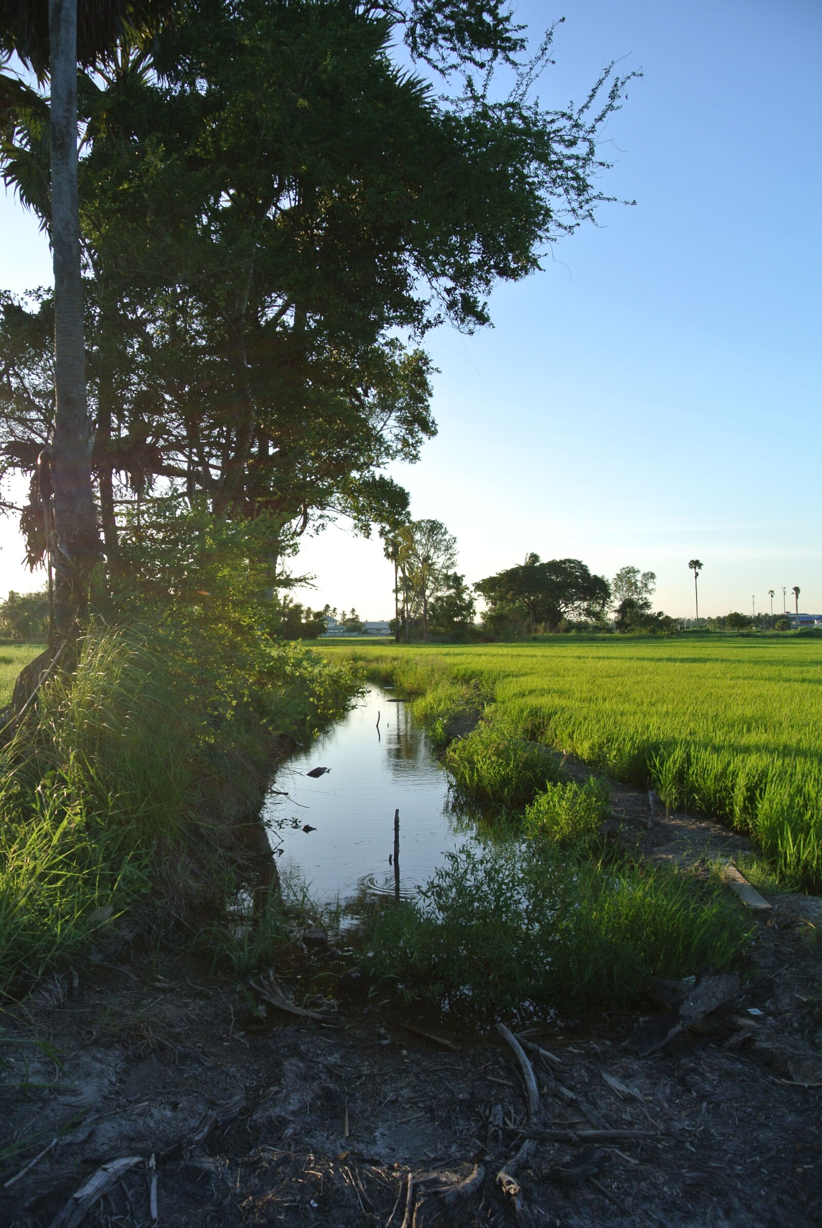 Nikon 1 J1 sample photo. Landscape photography