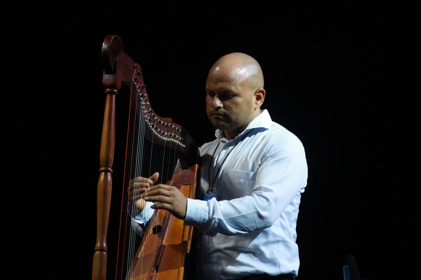 Canon EOS 700D (EOS Rebel T5i / EOS Kiss X7i) sample photo. Harp, music, instrument photography