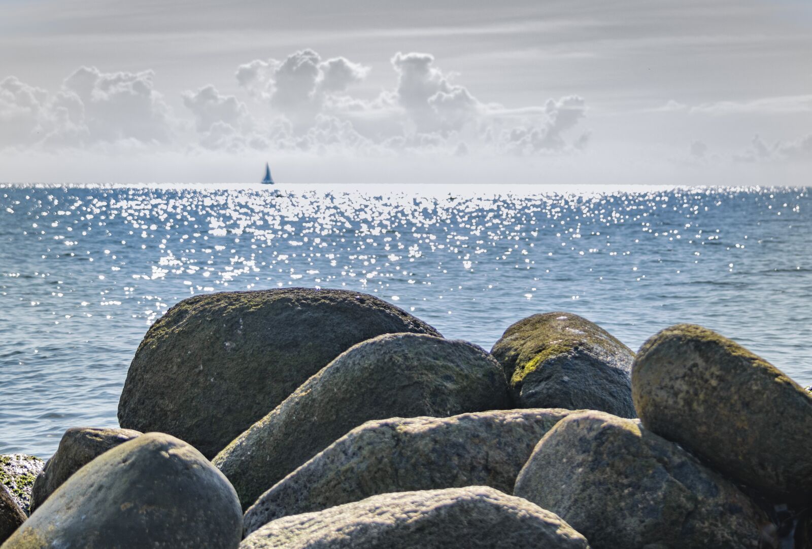 Nikon D500 sample photo. Stones, coast, sea photography