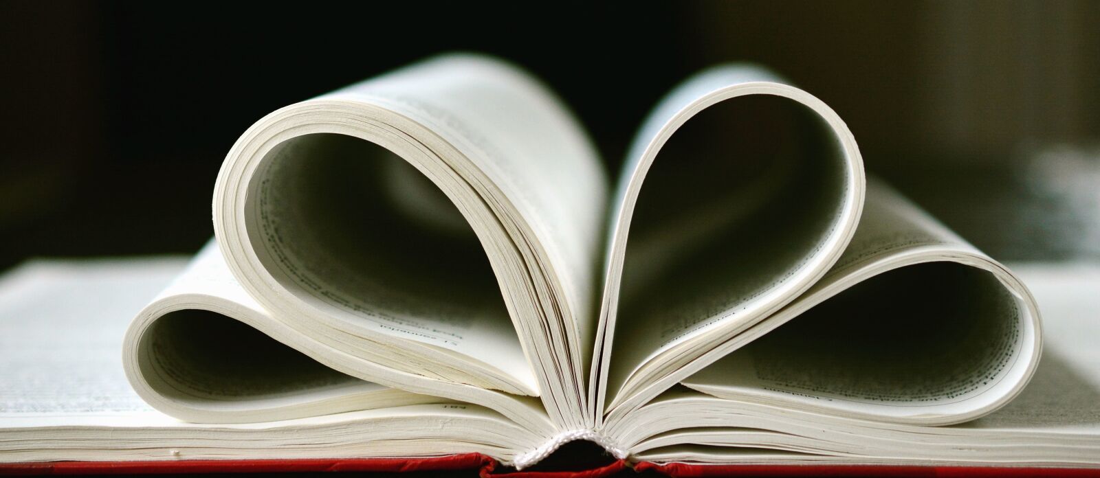 Nikon D5200 sample photo. Book, page, knowledge, learning photography