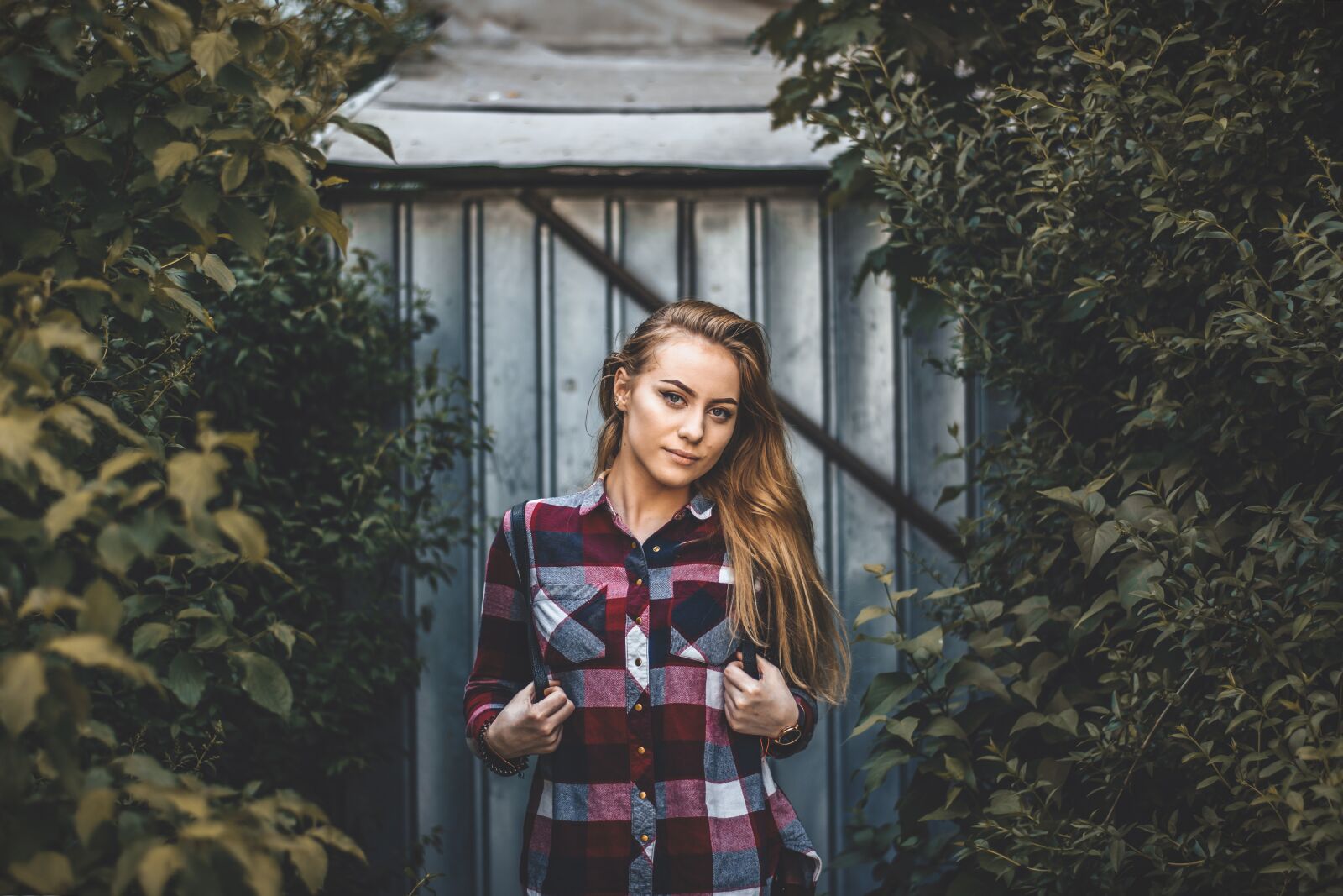 Nikon D3400 sample photo. Outdoor, moody, nature photography
