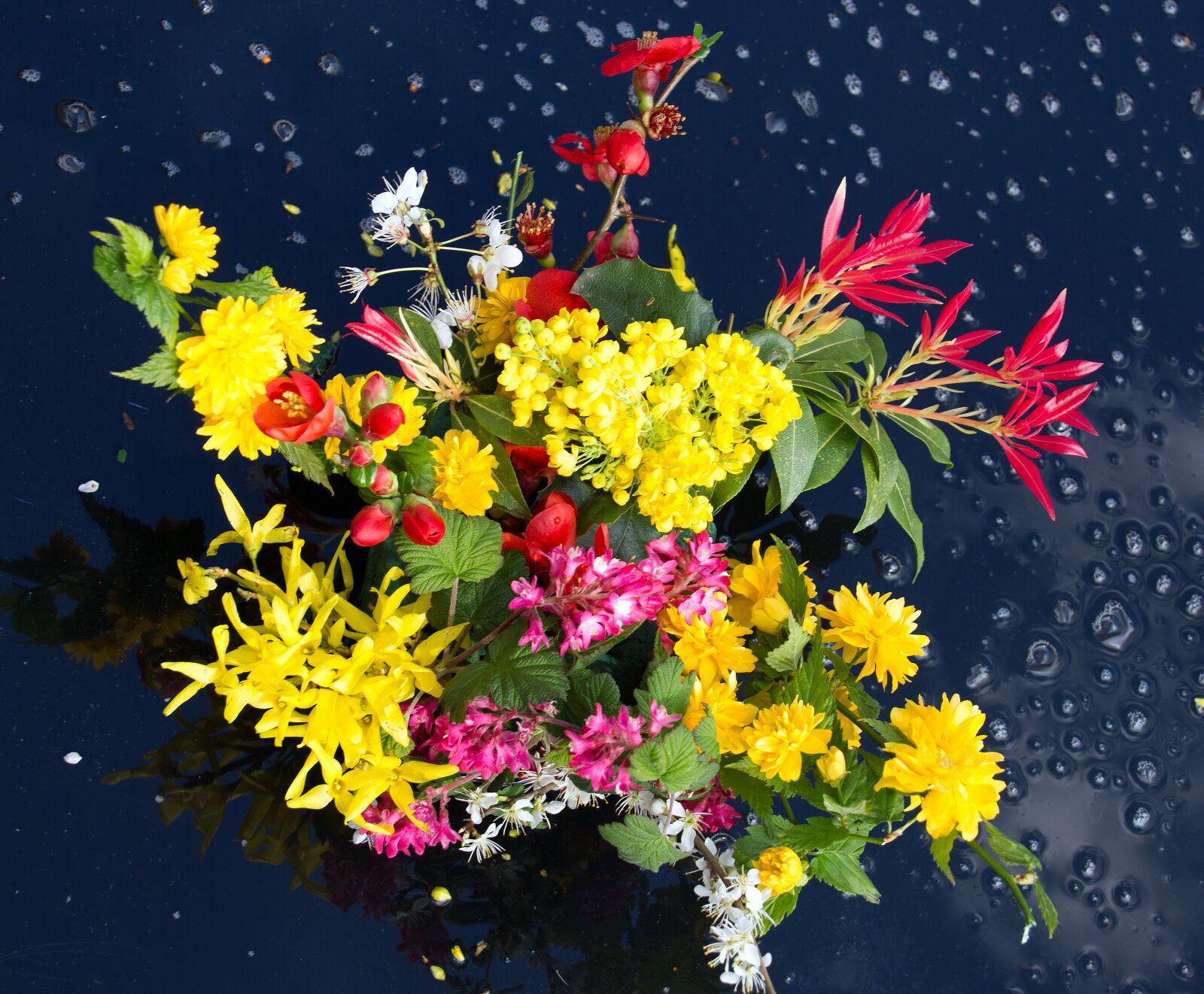 Canon EOS 550D (EOS Rebel T2i / EOS Kiss X4) sample photo. Wild flower, garden, bouquet photography