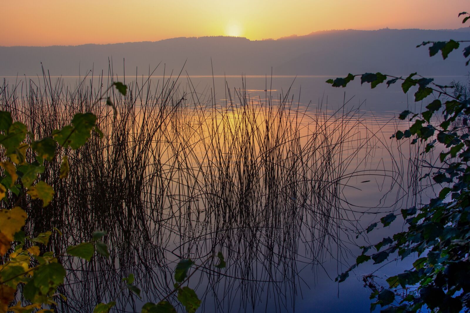 Canon EOS 60D sample photo. Sunrise, dawn, laacher lake photography