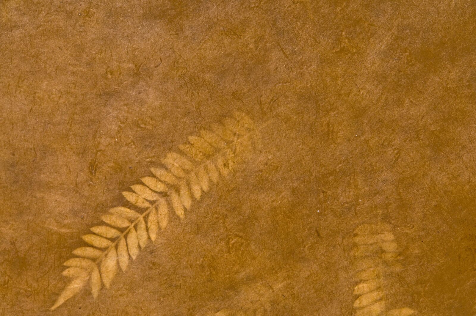 Nikon D300 sample photo. Textures, walls, europe photography
