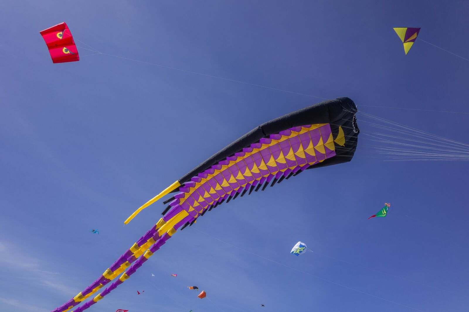 Sony Cyber-shot DSC-RX100 sample photo. Kite, festival, beach photography