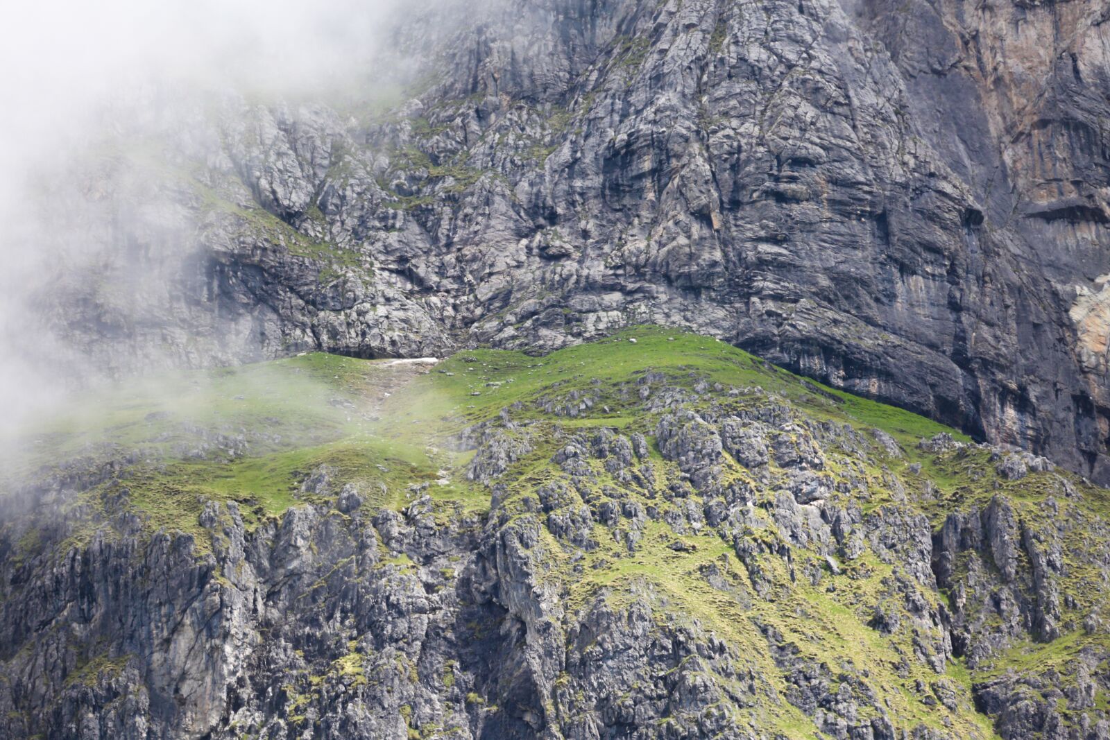 Canon EF 100-400mm F4.5-5.6L IS USM sample photo. Alm, mountains, meadow photography