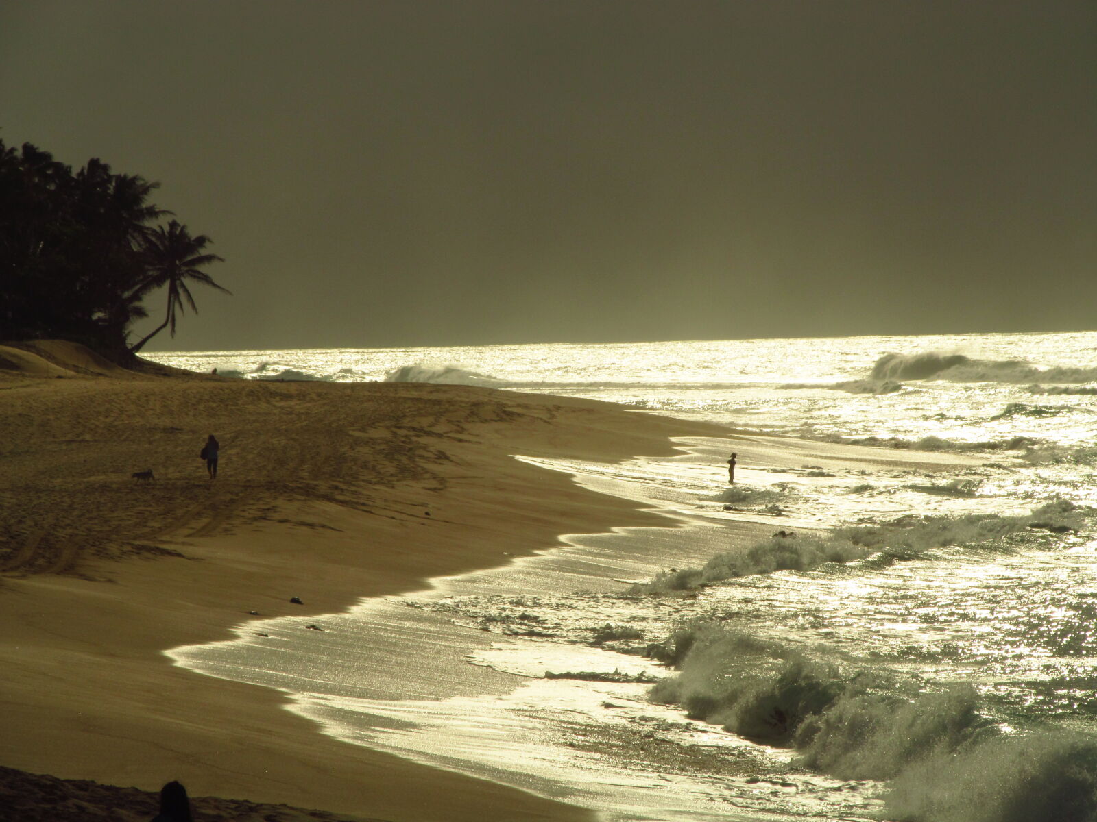 Canon PowerShot SX150 IS sample photo. Shine, beach, waves, sun photography
