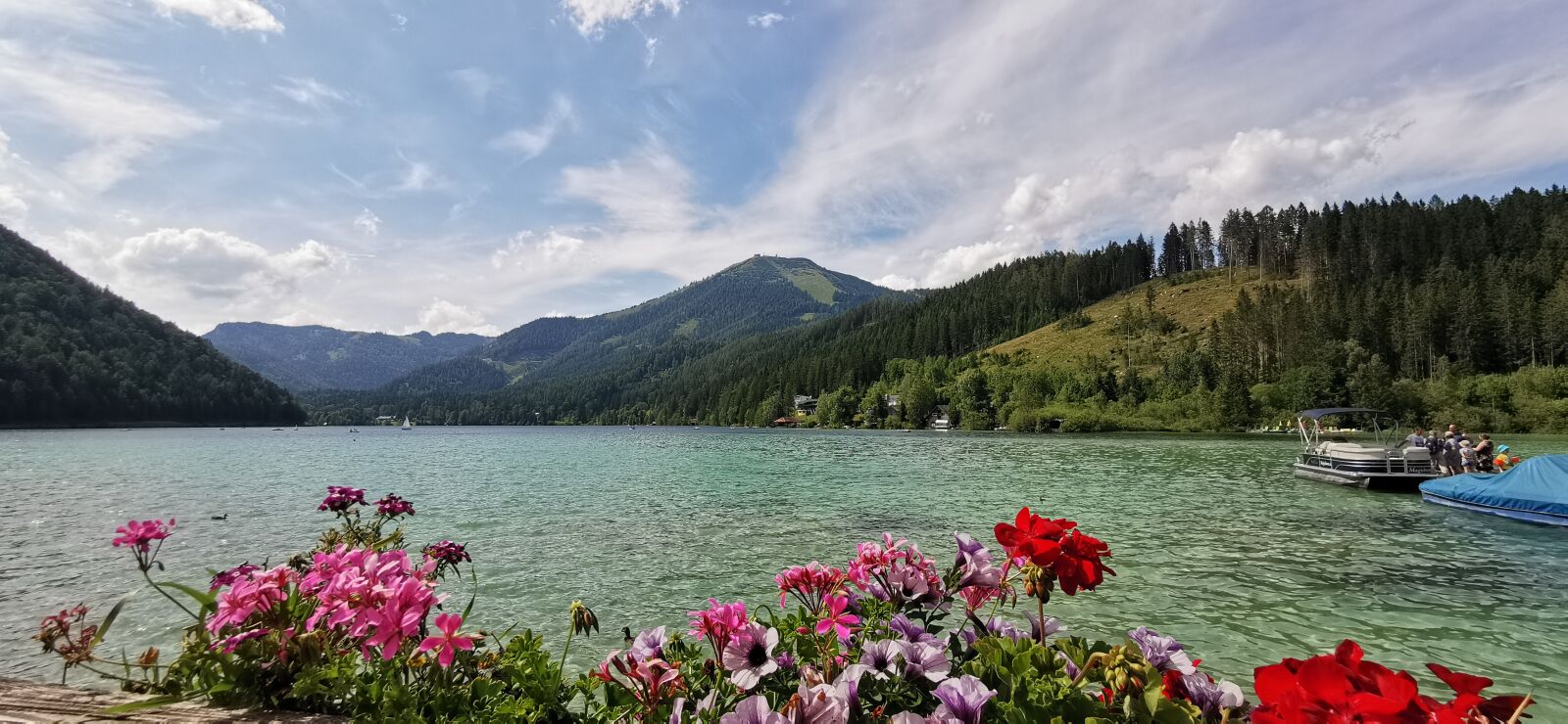 HUAWEI P30 Pro sample photo. Flowers, lake, nature photography