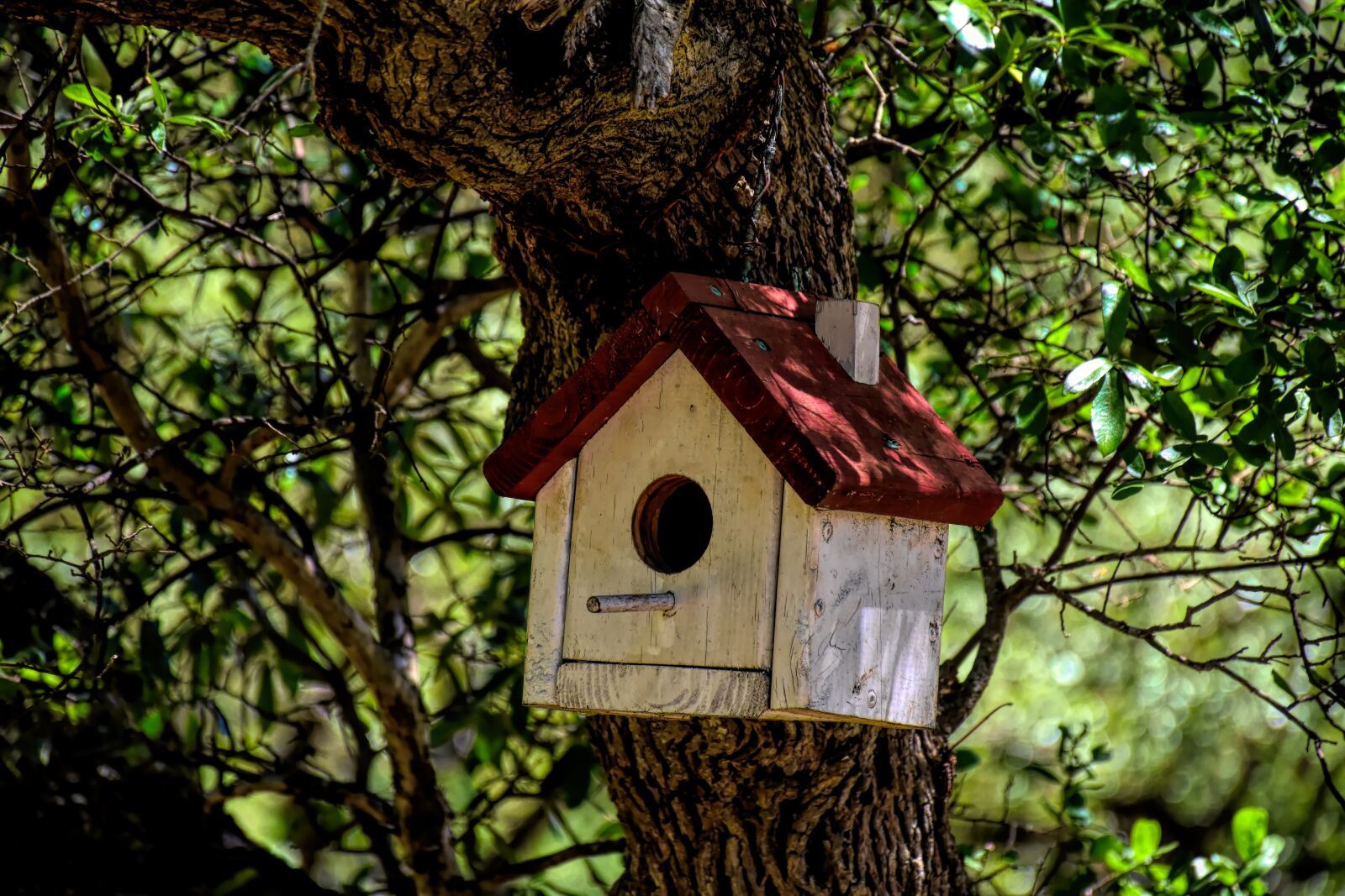 Nikon D5500 sample photo. Birdhouse, outdoors, bird photography