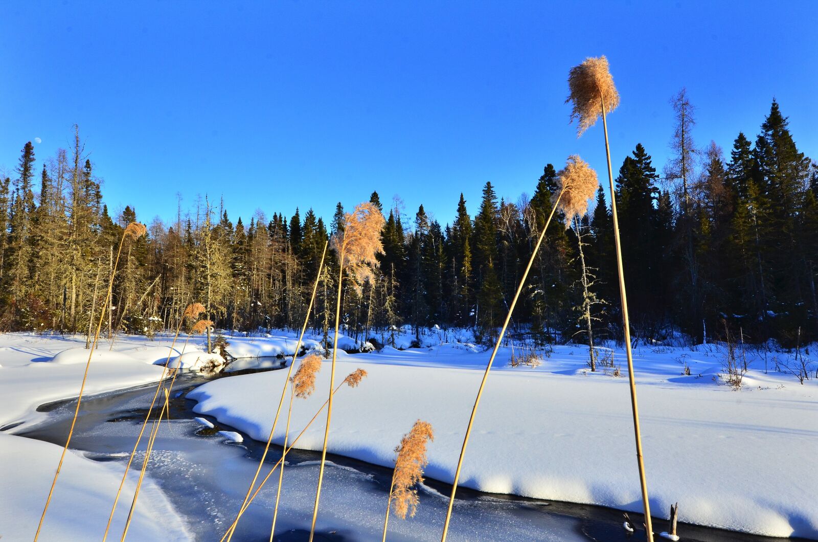 Nikon D7000 sample photo. Landscape, winter, nature photography