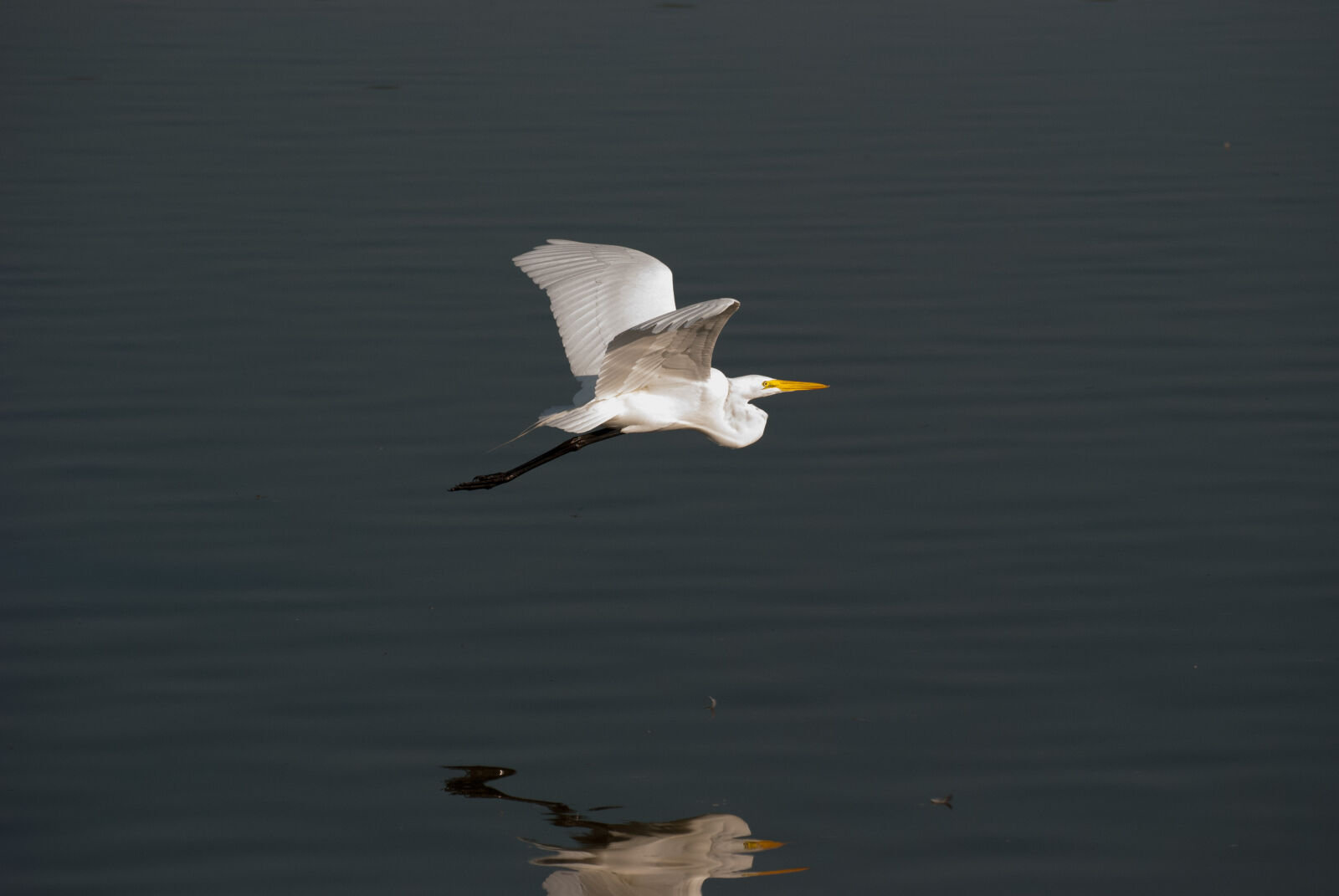 Nikon D3000 sample photo