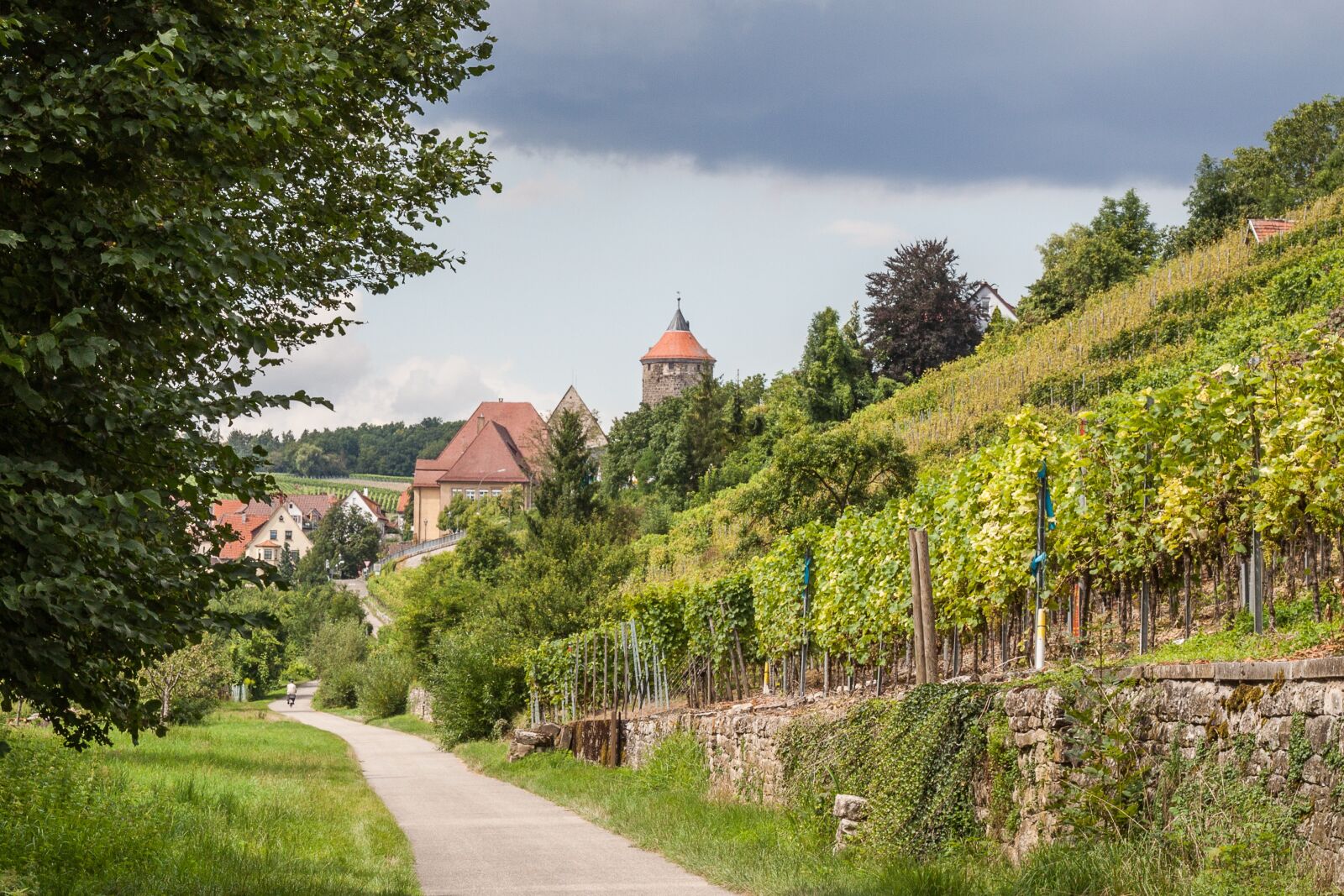 Canon EOS 50D + Canon EF 24-105mm F4L IS USM sample photo. Besigheim, vineyard, swabia photography