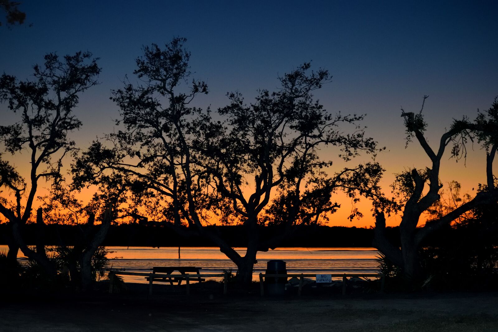 Nikon D3300 sample photo. River front, sunset, silhouette photography