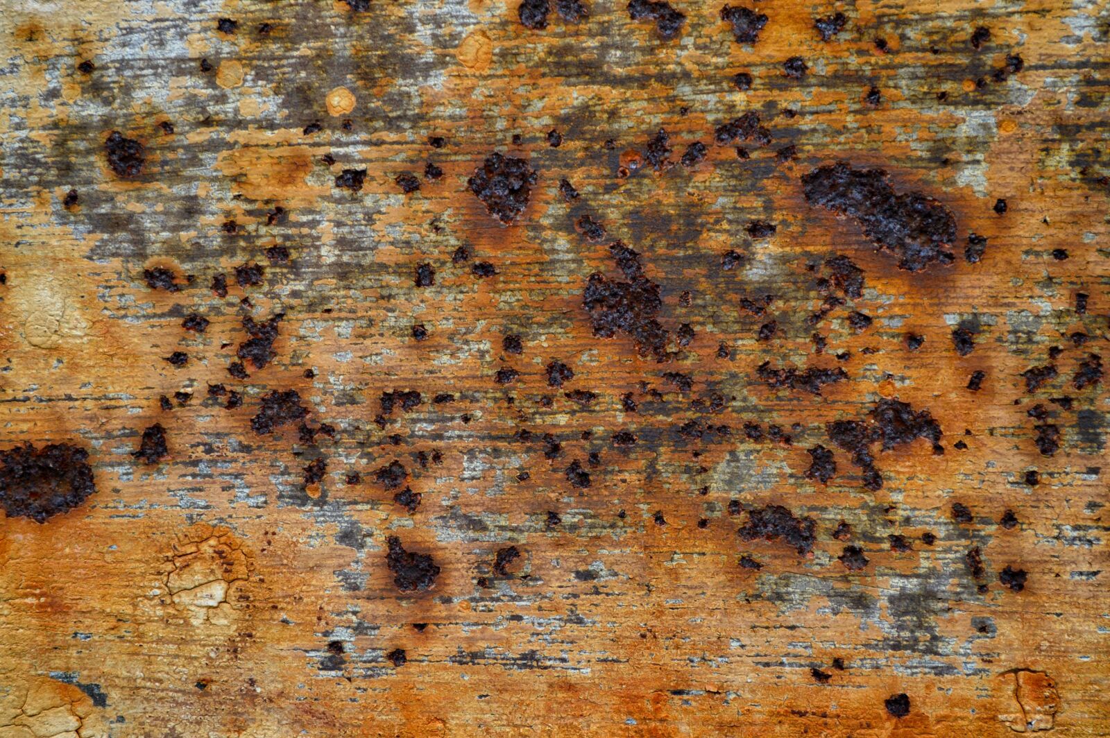 Nikon D3200 sample photo. Texture, metal, painting photography