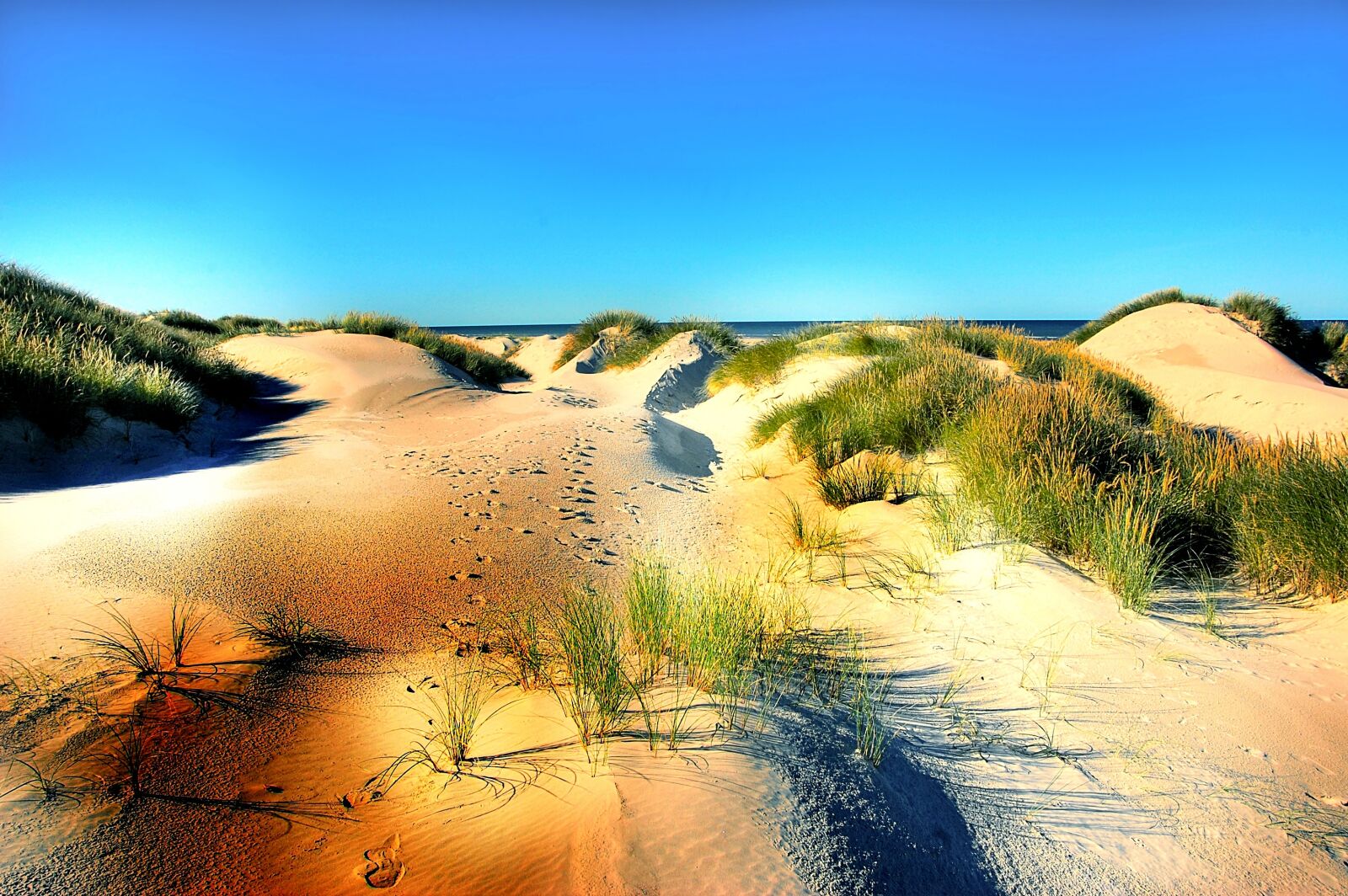 Nikon D40 sample photo. Dunes, beach, denmark photography