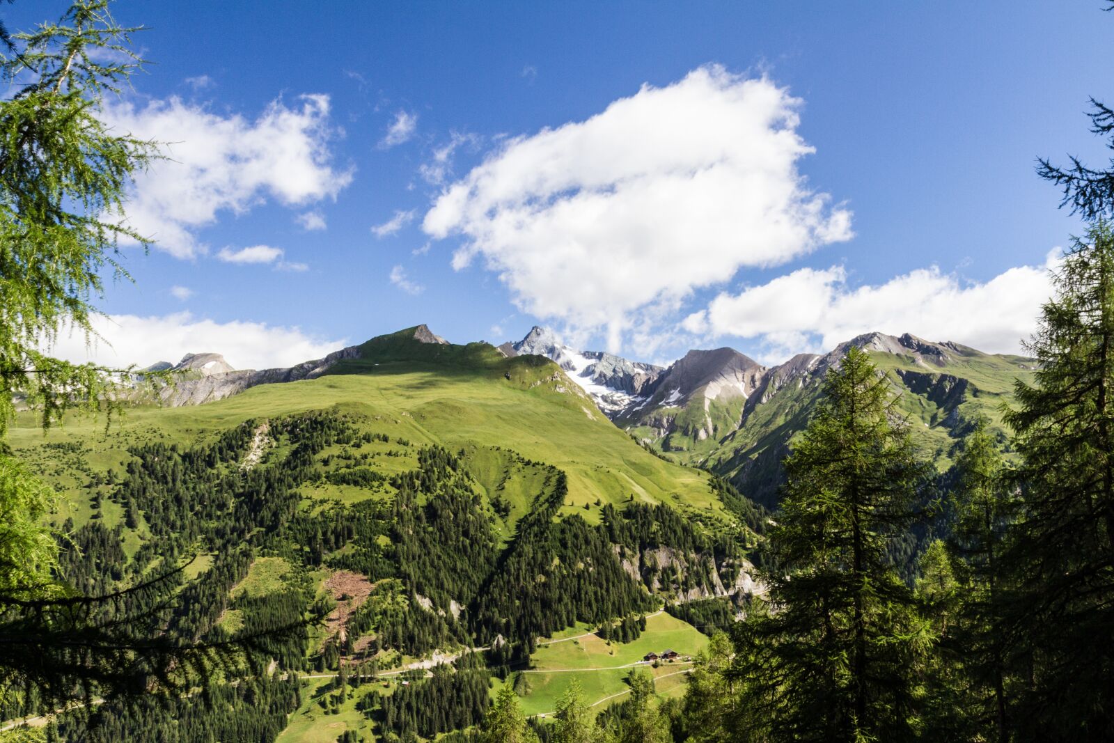 Canon EOS 7D sample photo. Hohe tauern, mountains, forest photography