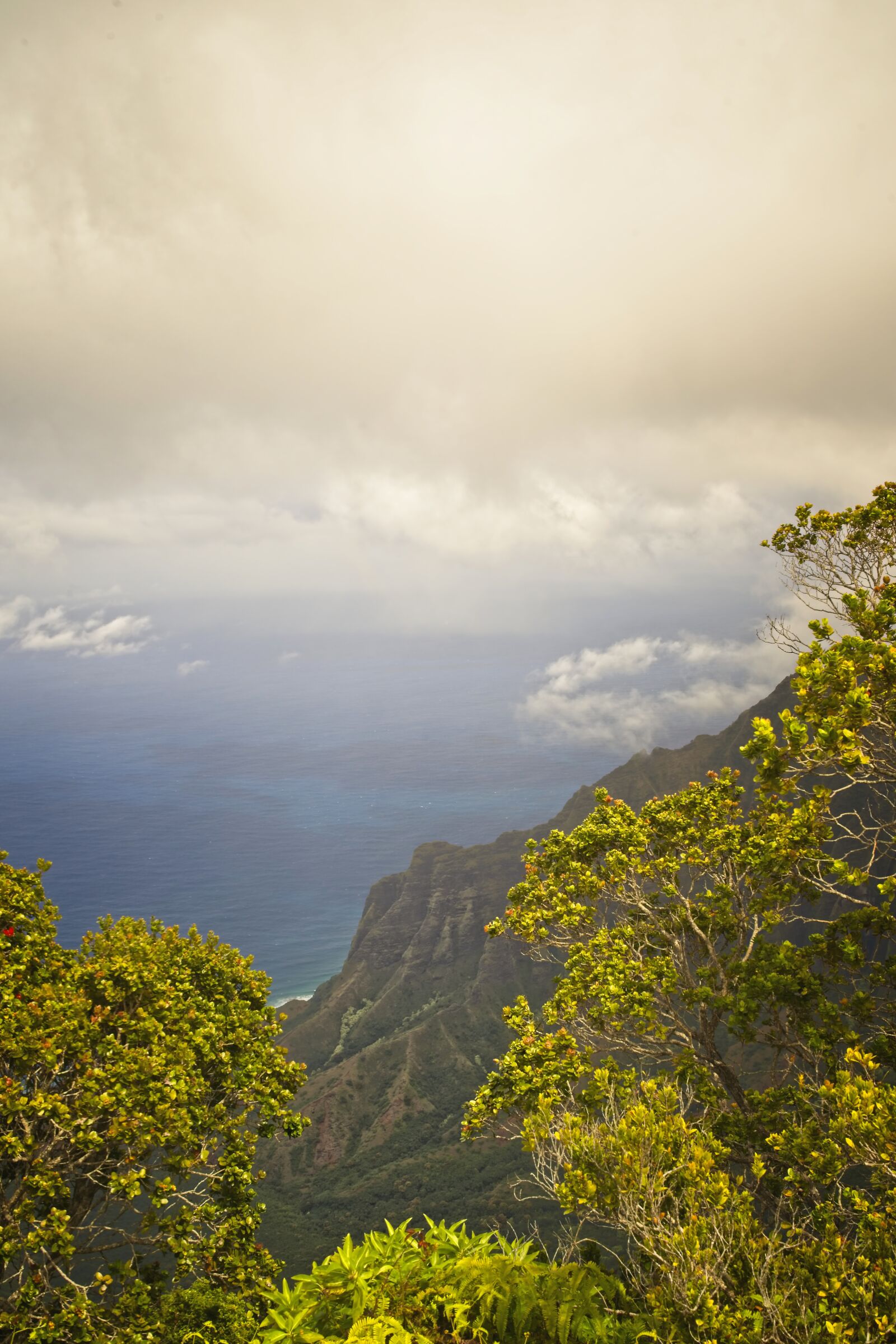 Sony FE 24-105mm F4 G OSS sample photo. Palisades, mountain, sea photography