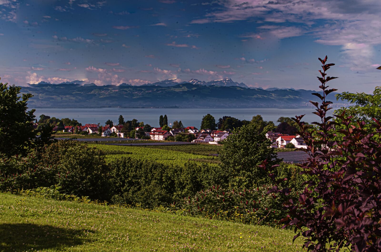 Nikon D7000 sample photo. Lake constance, lake, landscape photography