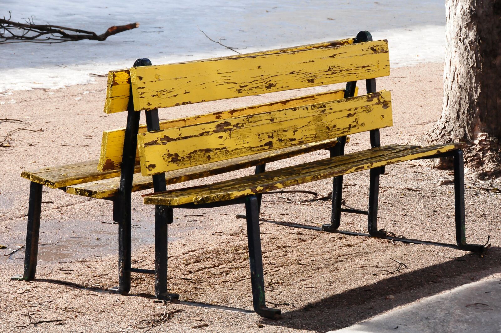 Nikon D300S sample photo. Bench, outdoor, no person photography
