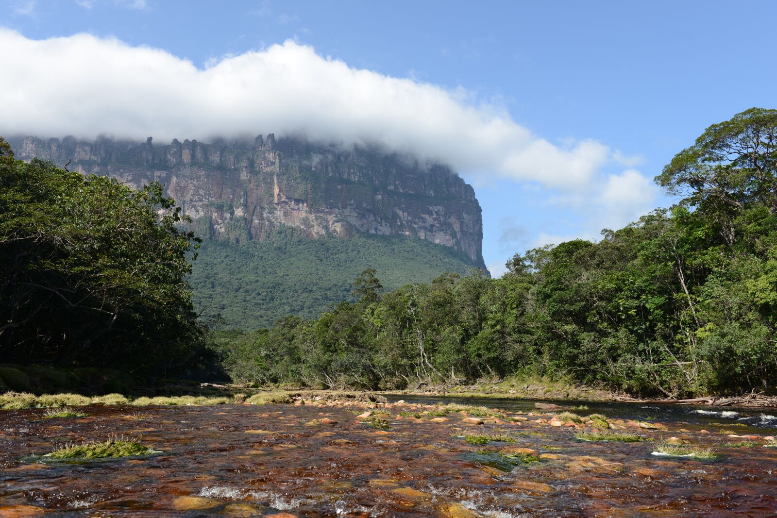 Nikon D800 sample photo. Nature, mountains, venezuela photography