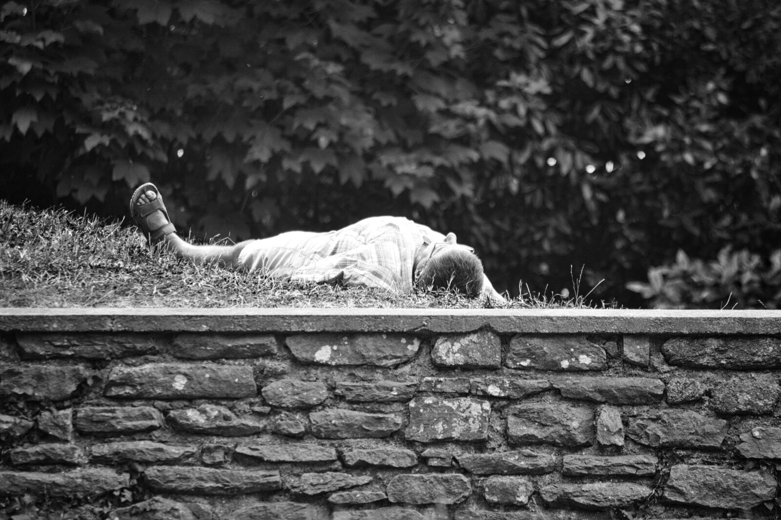 Nikon D5200 sample photo. Dormir, homme, jardin, public photography