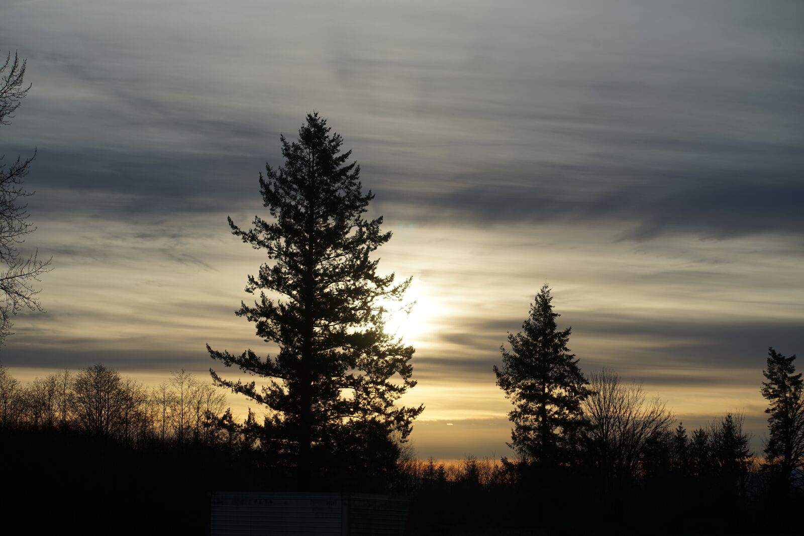 Sony a7 sample photo. Sunset, country, trees photography