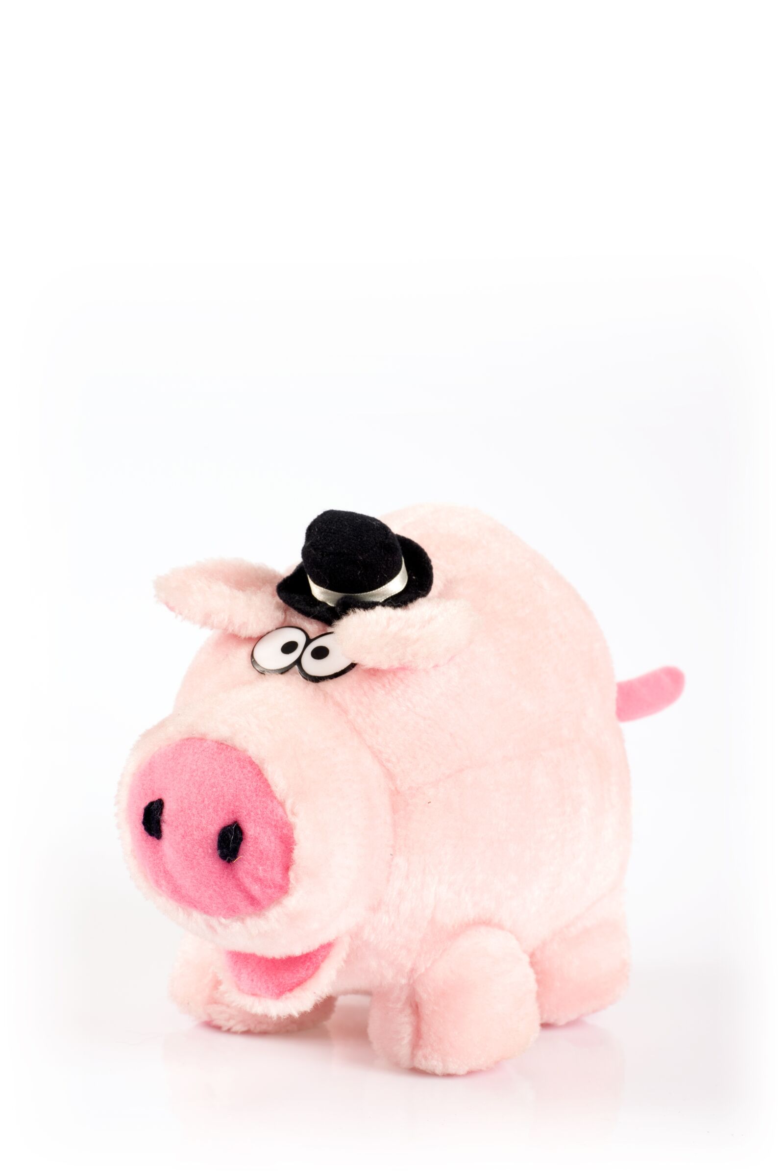 Nikon D800 sample photo. Plush, toy, the mascot photography