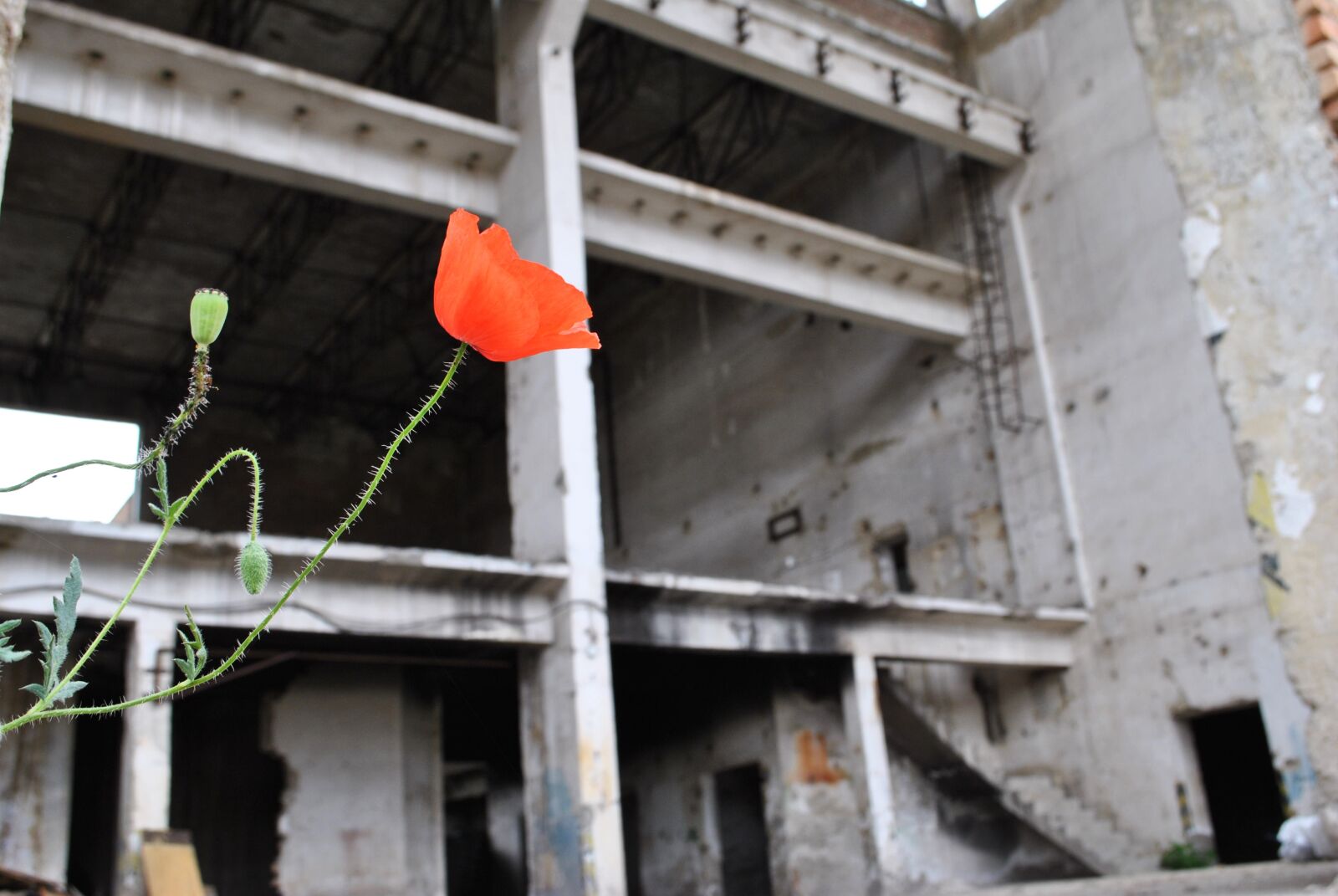 Nikon D3000 sample photo. Building, urbex, fracture photography