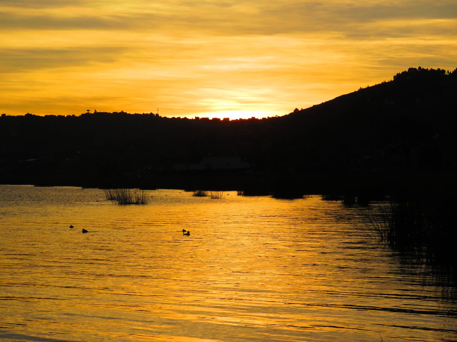 Canon PowerShot SX60 HS sample photo. Sunset, water, gold photography