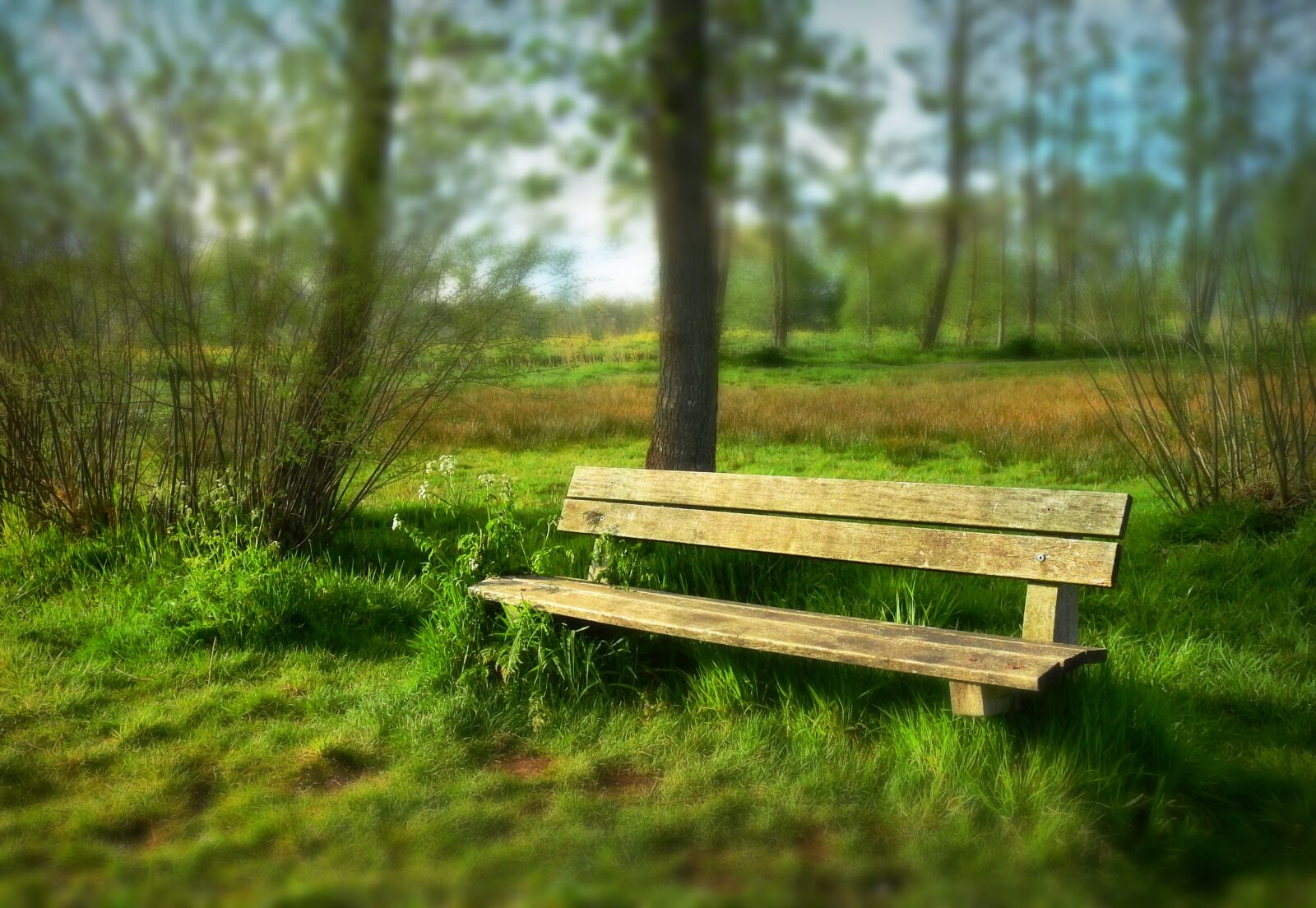 Nikon Coolpix P900 sample photo. Bench, seat, outdoor furniture photography