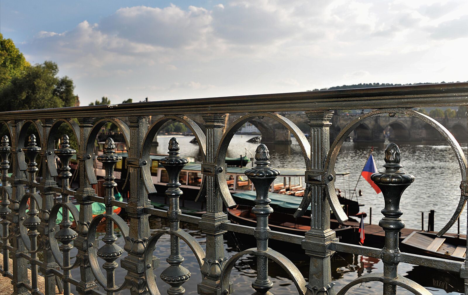 Nikon D610 sample photo. Railing, metal, bridge railing photography