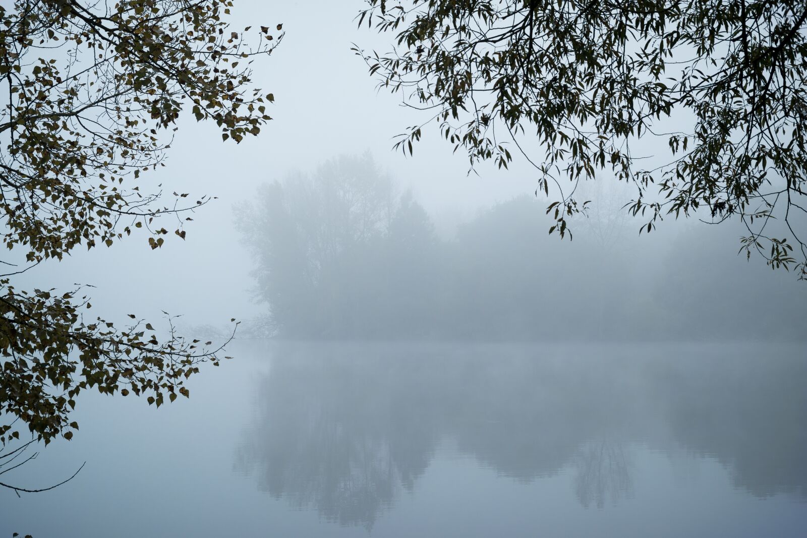 Samsung NX300M sample photo. Fog, lake, mysterious photography