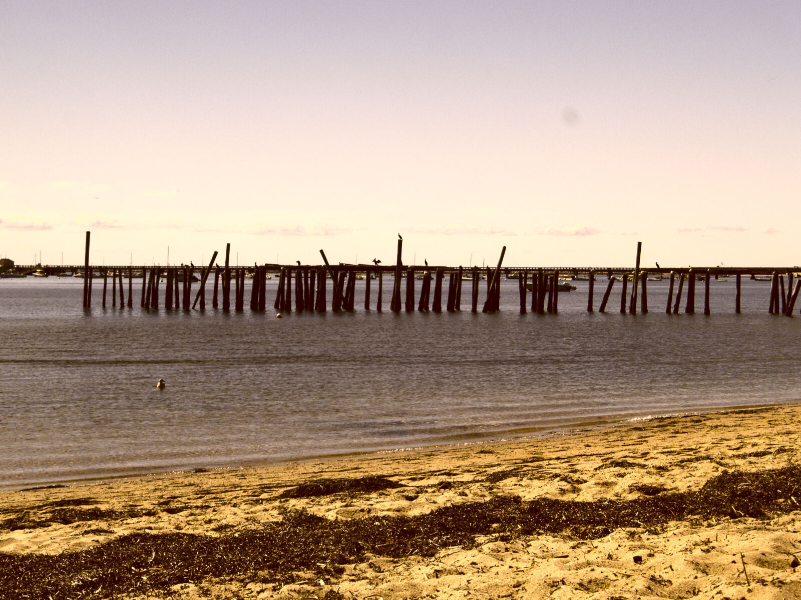 Olympus E-500 (EVOLT E-500) sample photo. Beach photography
