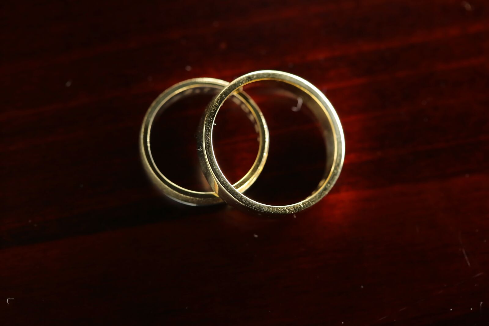 Canon EF 100mm F2.8 Macro USM sample photo. Gold, wedding ring, pair photography