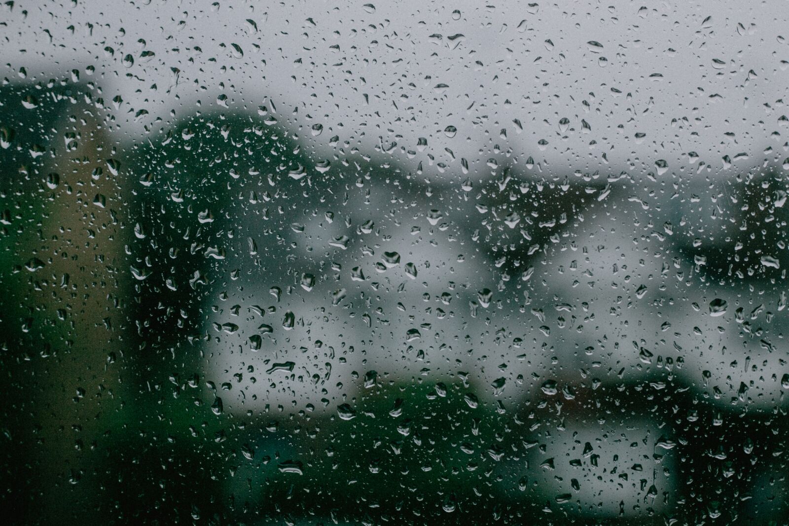 Canon EF 50mm F1.8 II sample photo. Rain, rain drop, water photography