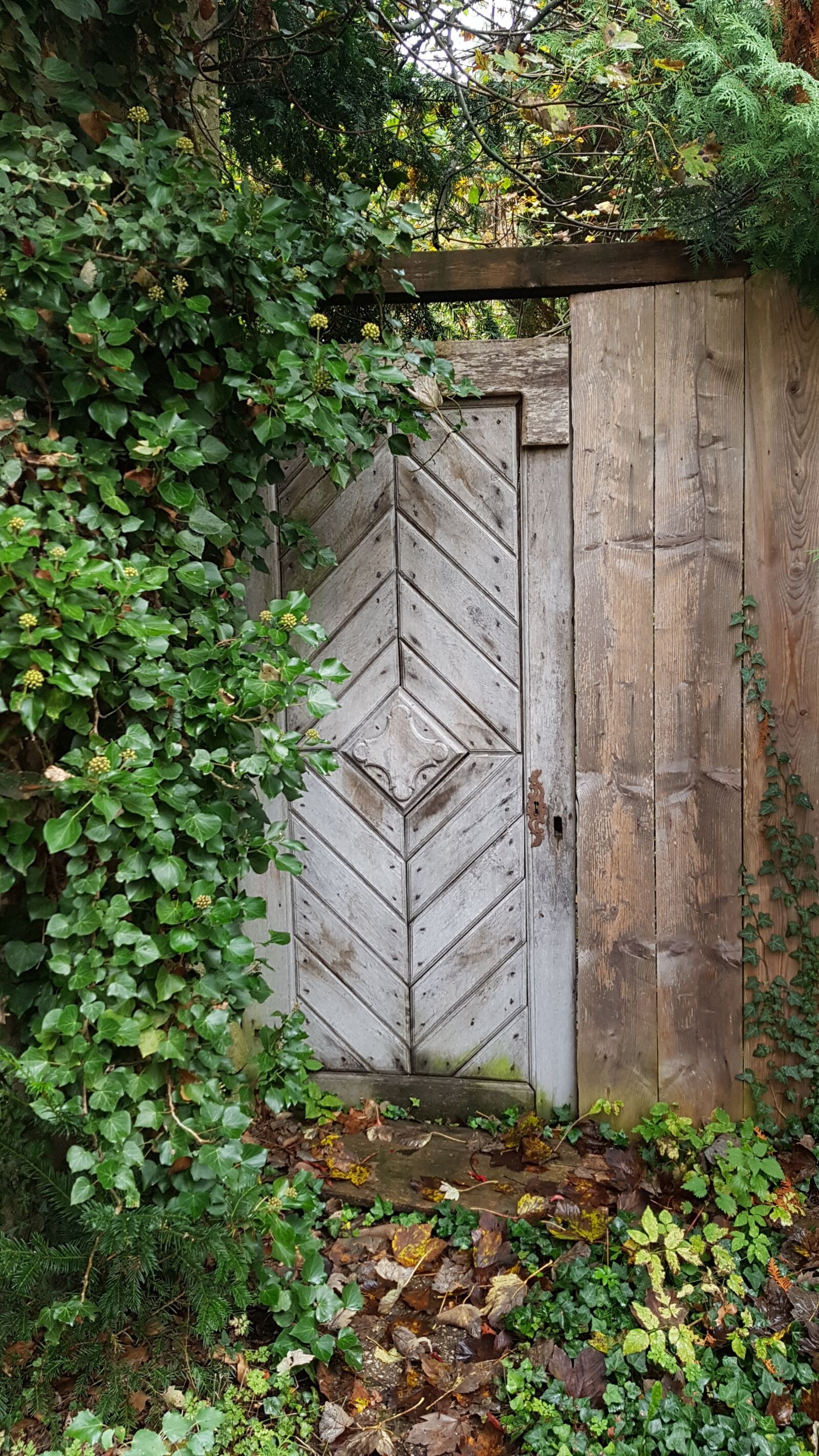Samsung Galaxy S7 sample photo. Door, wooden door, garden photography