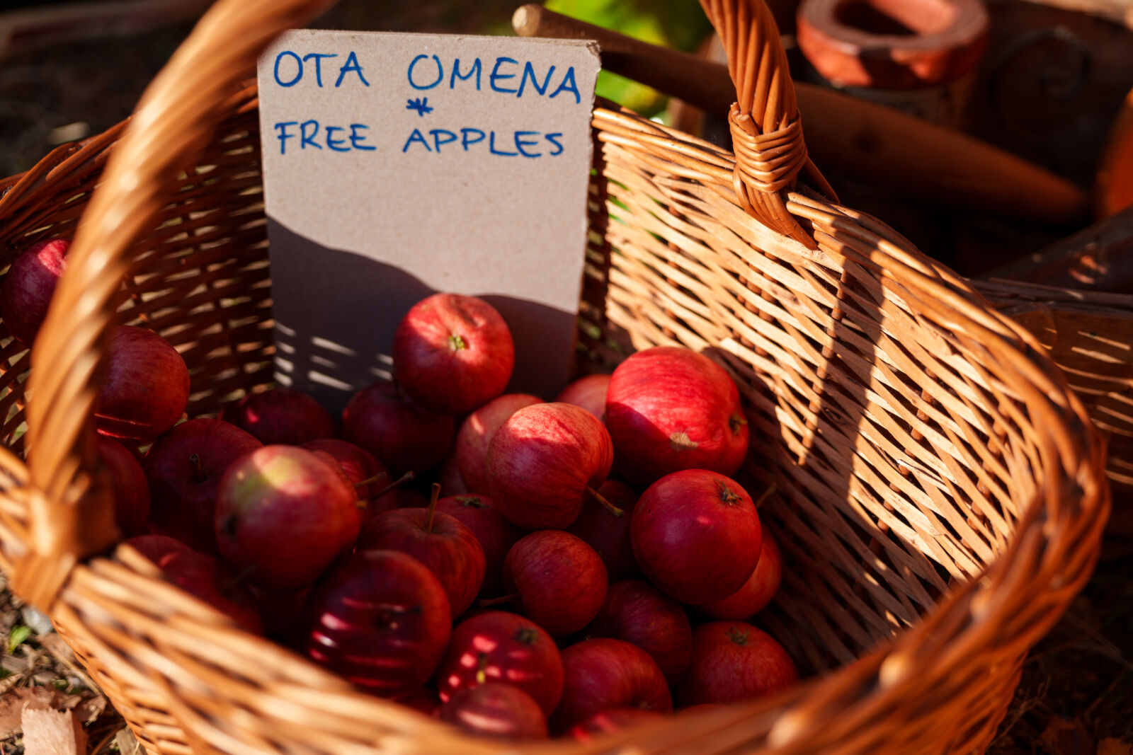 Sigma 28-105mm F2.8 DG DN | Art sample photo. Free apples photography