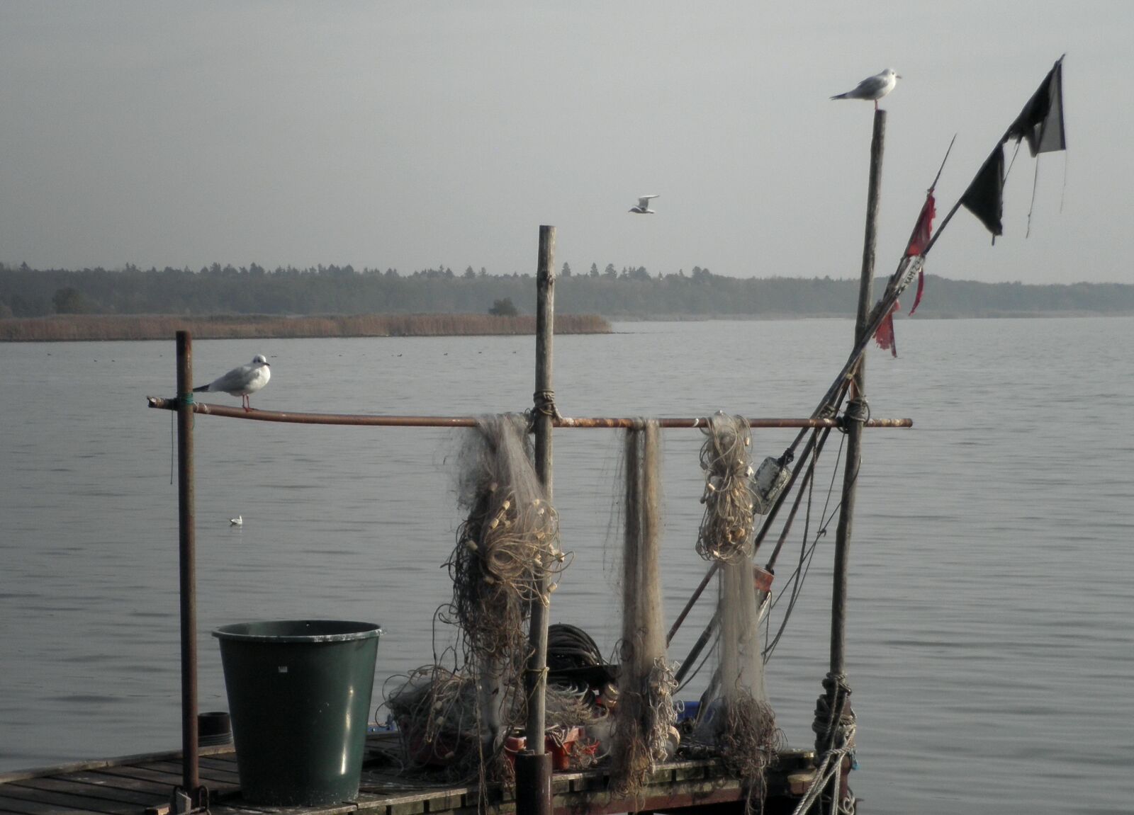 Olympus FE4010,X930 sample photo. Fishing, networks, fishing net photography