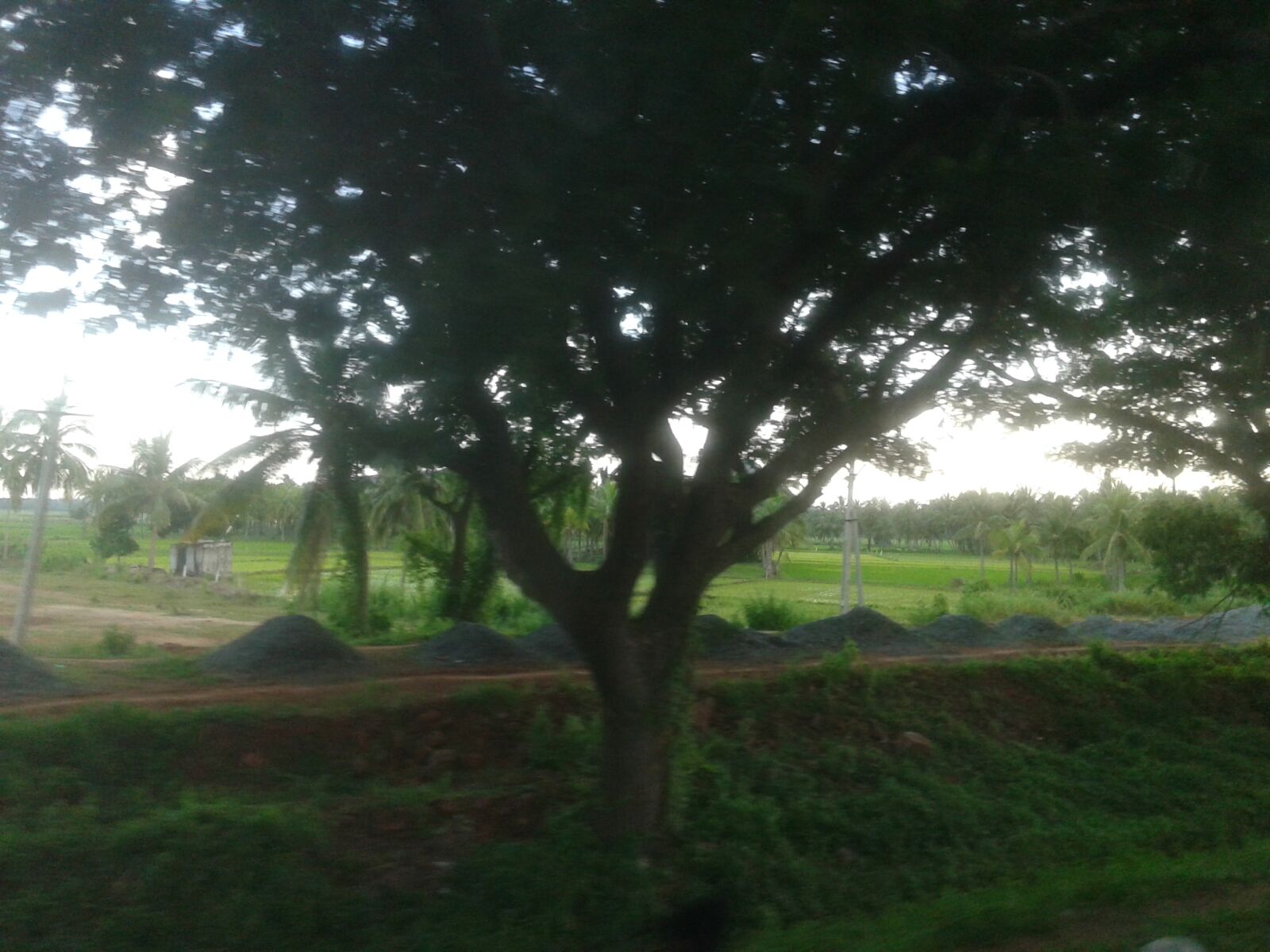 Samsung Galaxy Core sample photo